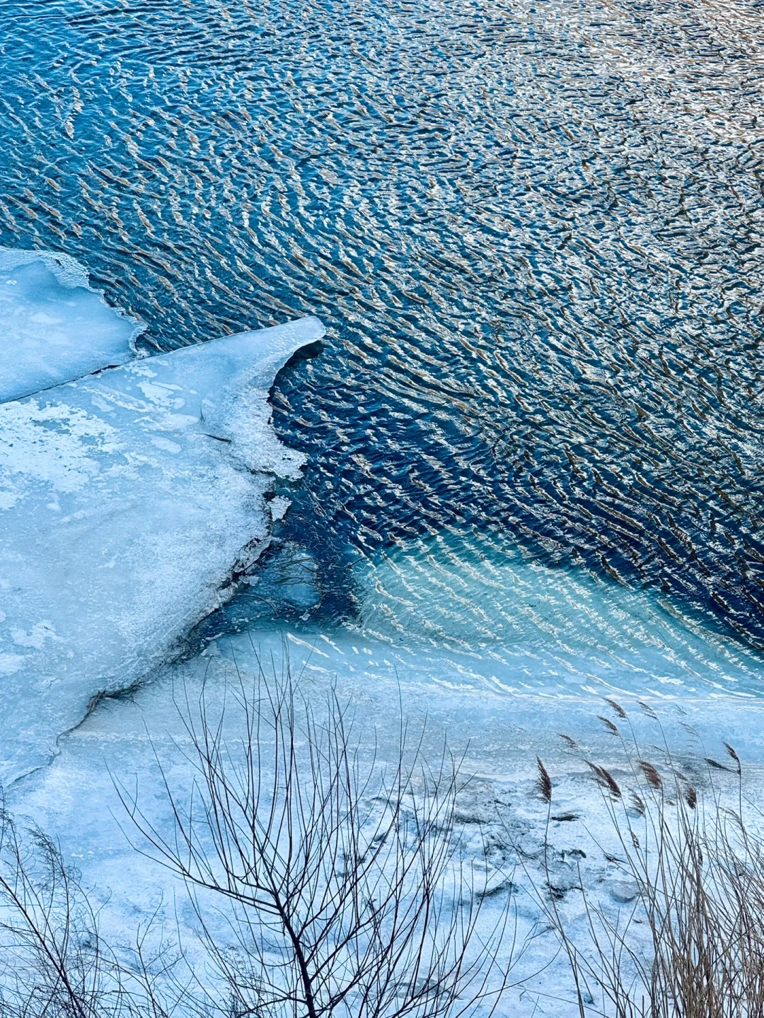 不是国外！在北京！发朋友圈被问爆了