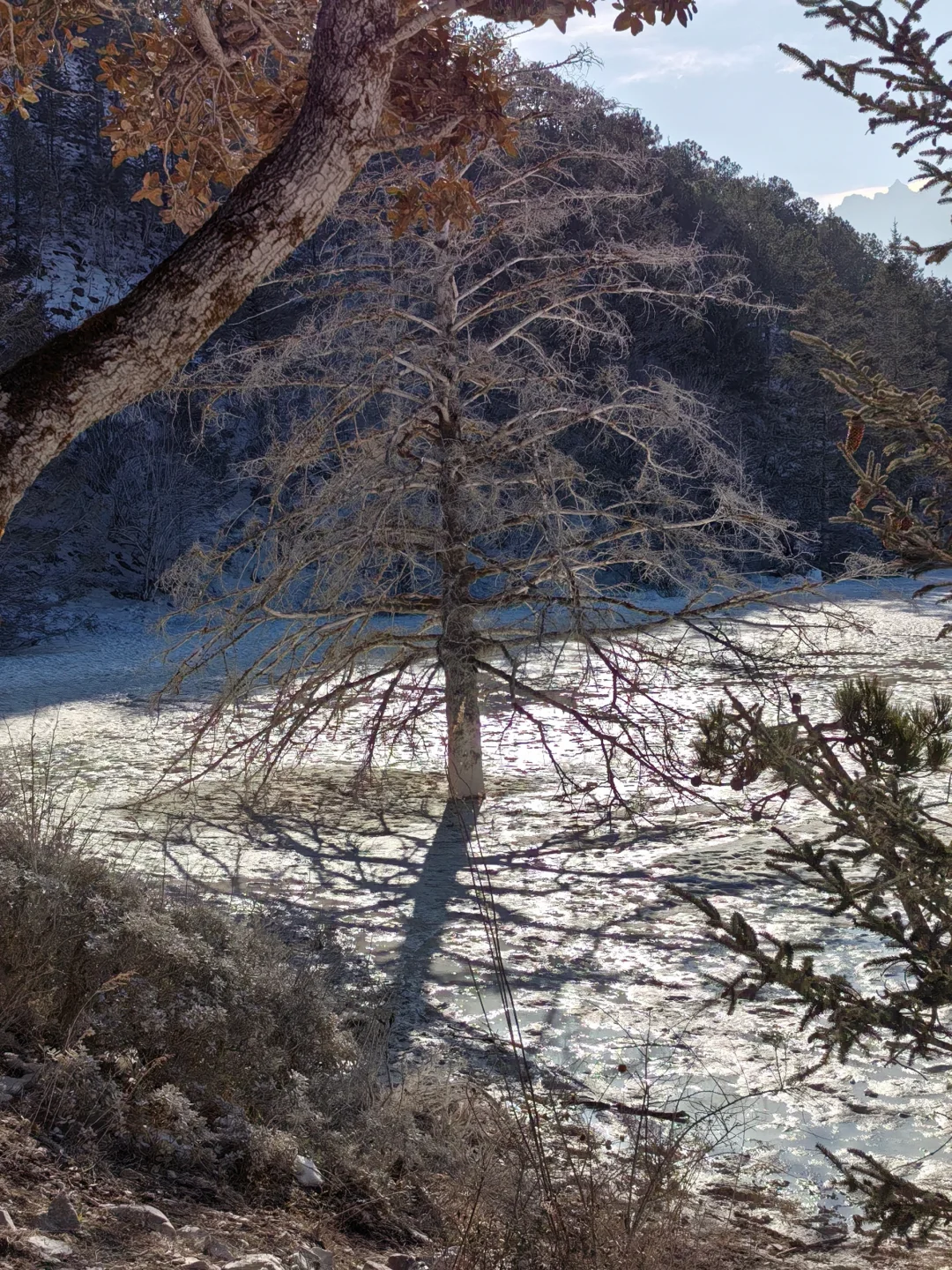 旅游是工作日的动力🥹