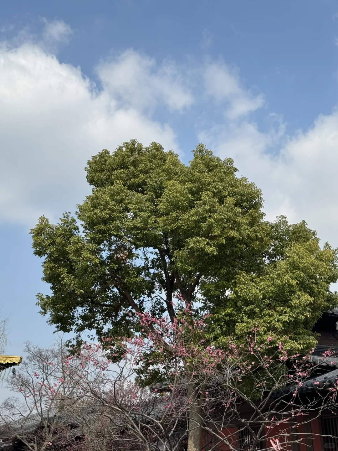 广富林遗址是松江必打卡的景点之一