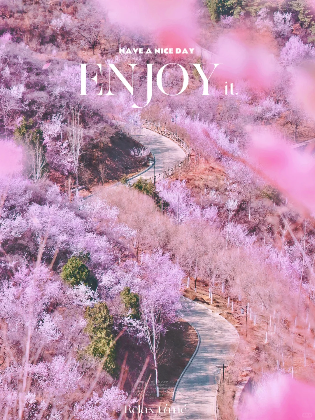 北京踏春🌸11个老幼赏花登山步道🍃不费腿