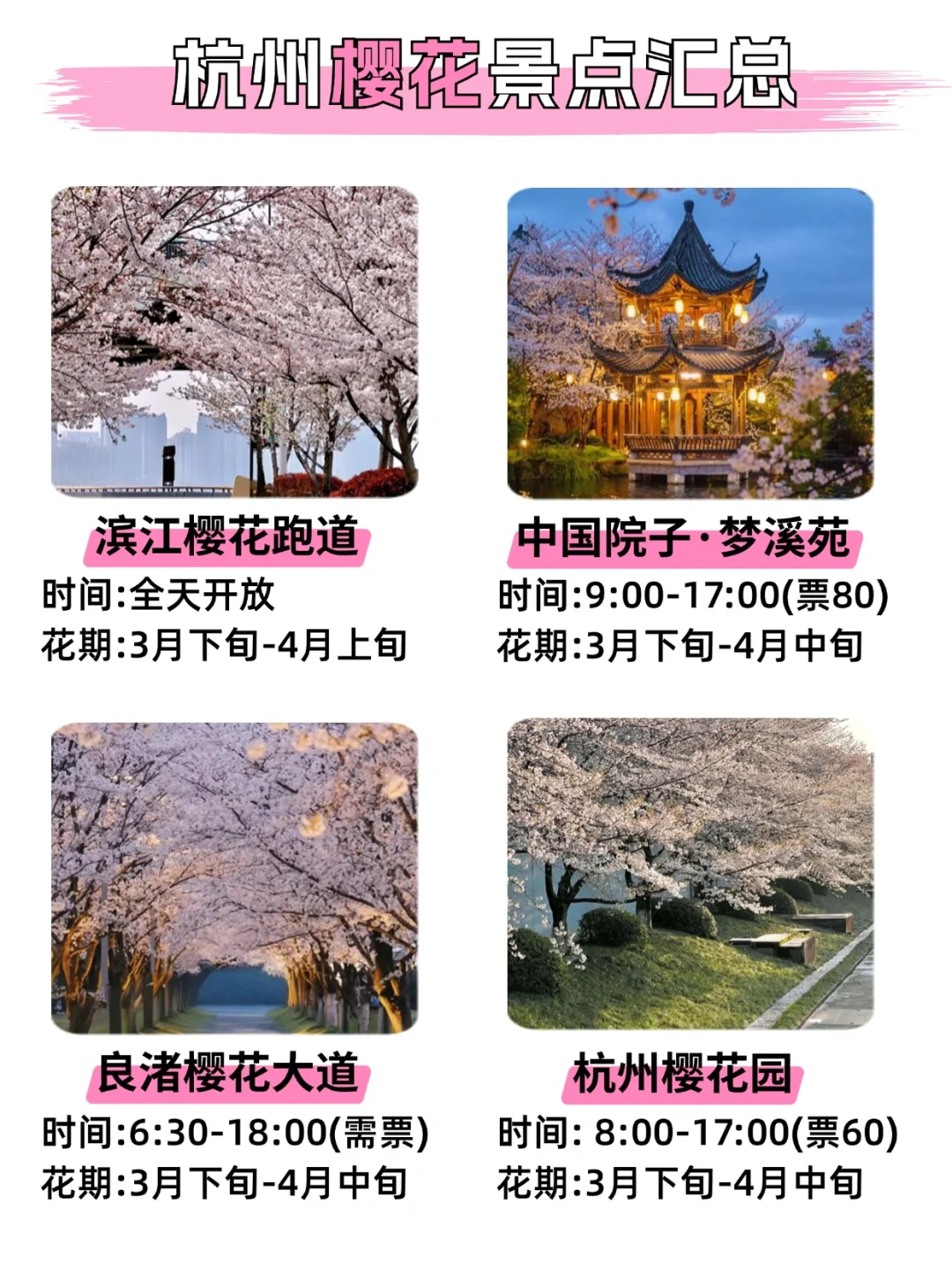 2025杭州樱花暴击🌸含详细赏花+旅游攻略❗
