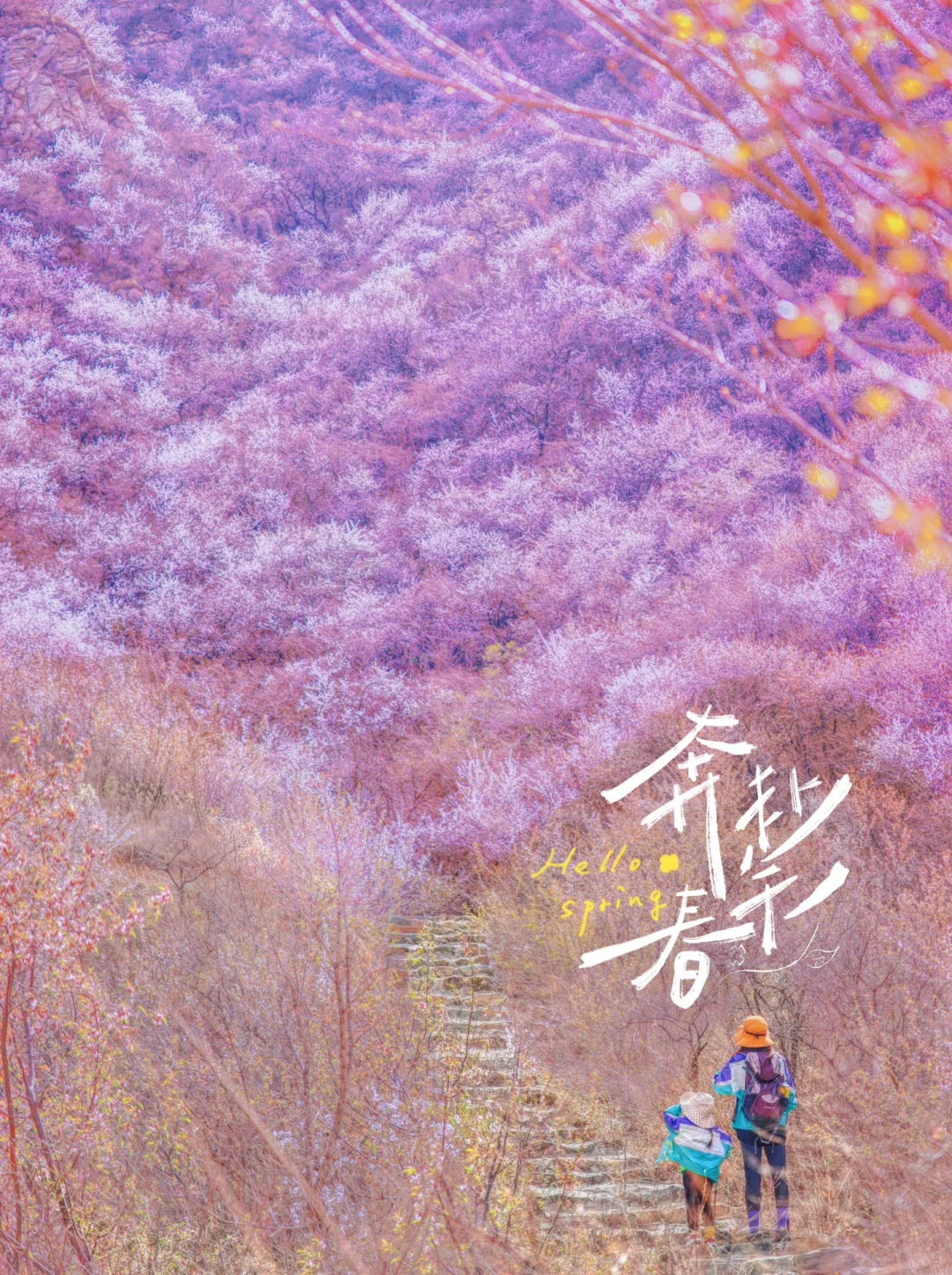 北京踏春🌸11个老幼赏花登山步道🍃不费腿