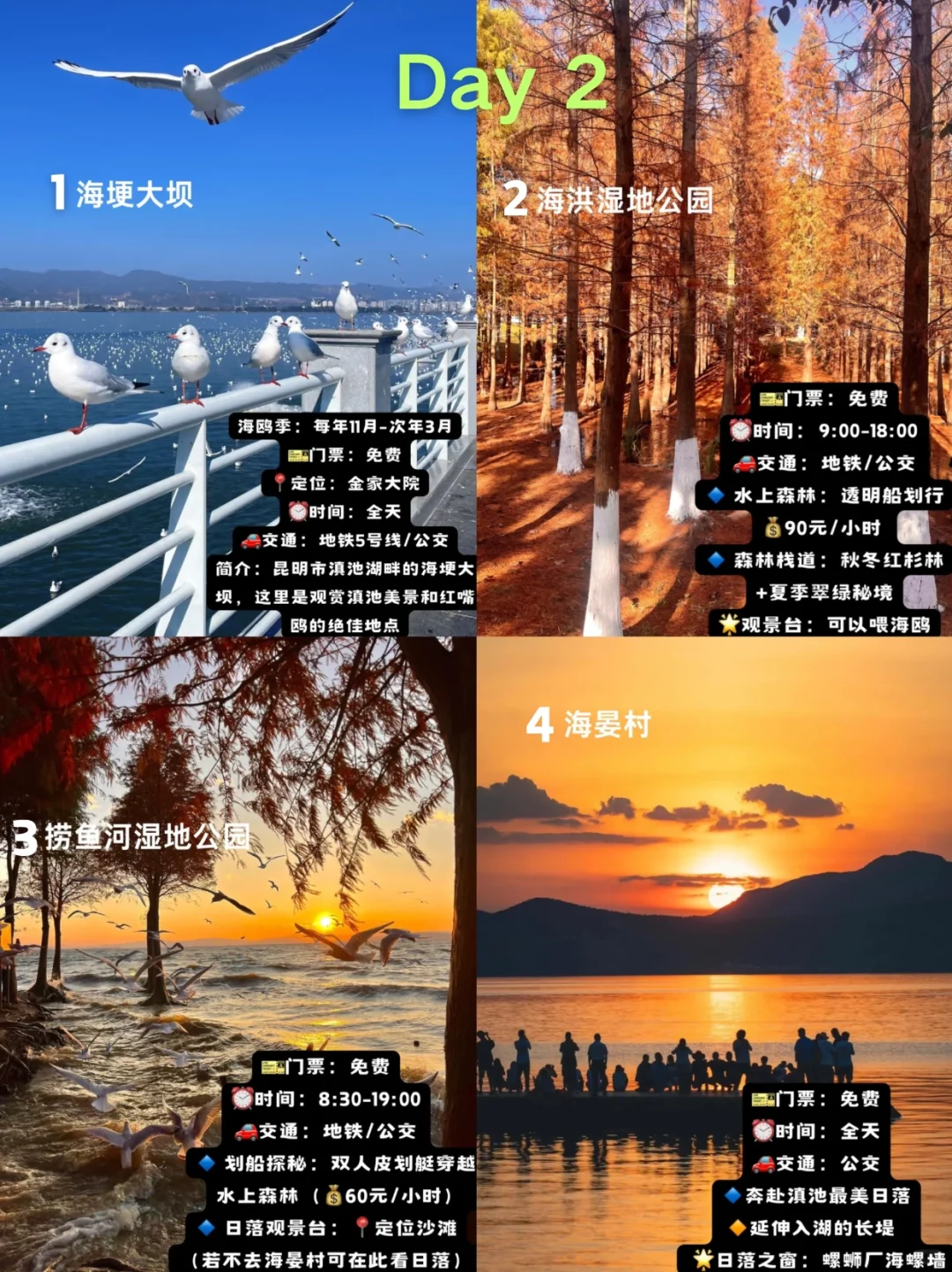 🌿昆明三天旅行攻略｜CityWalk看海鸥逛石林