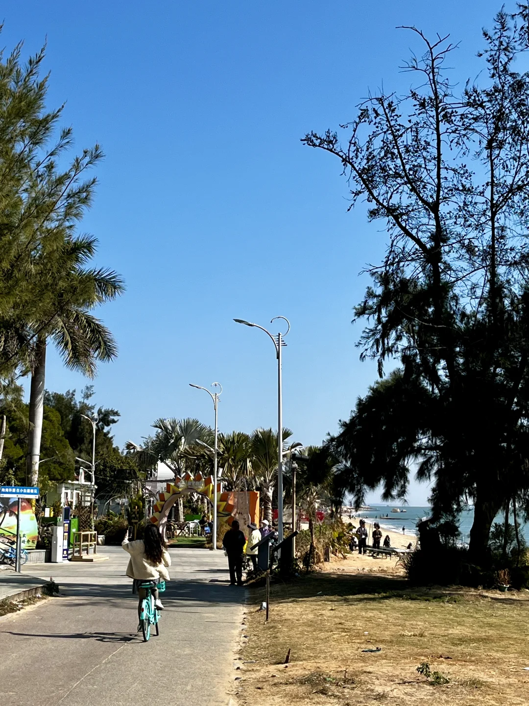 来厦门记得去！！海边citywalk美疯了（路线）