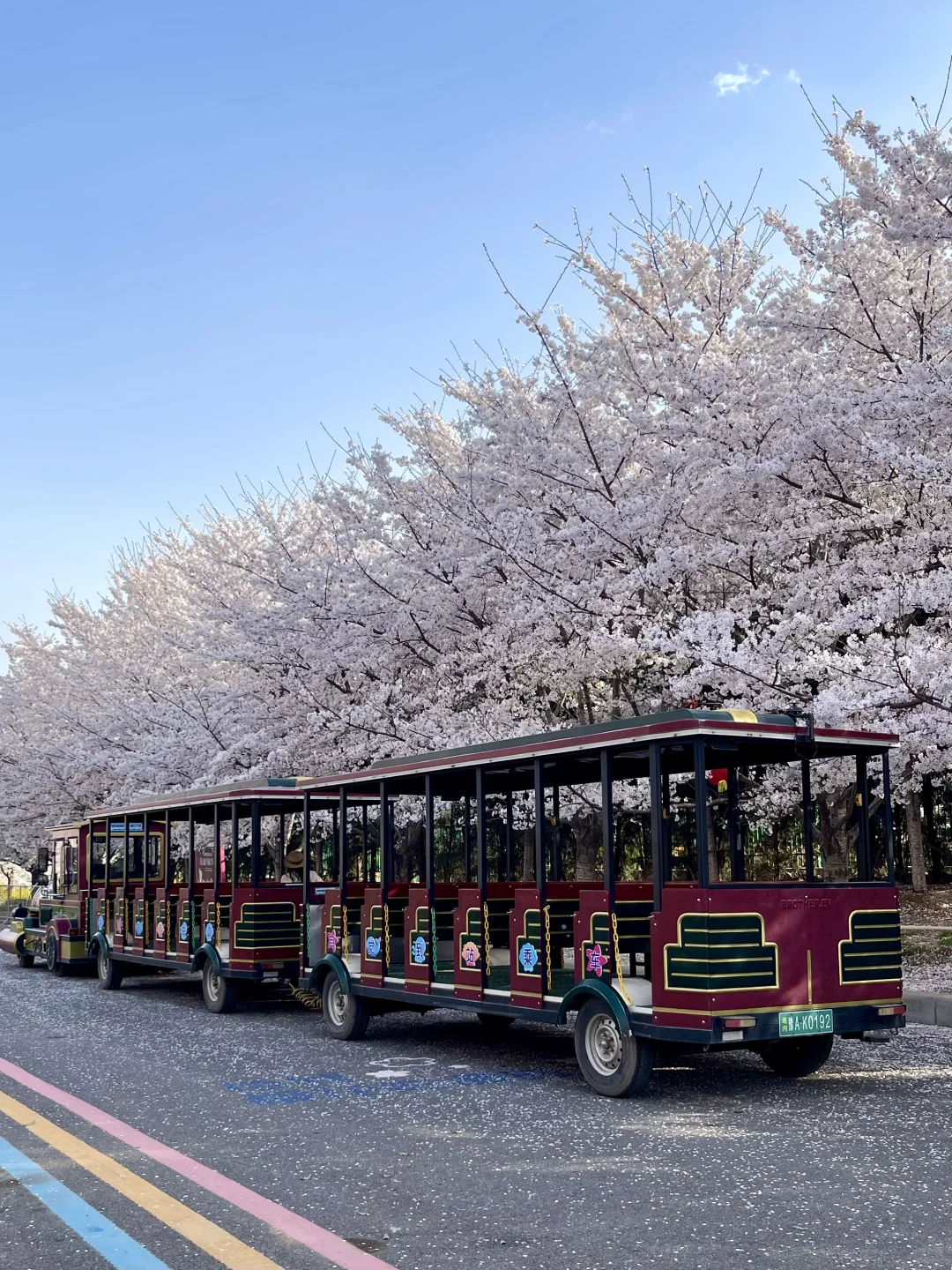 码住！郑州三月必去花海🌸top3