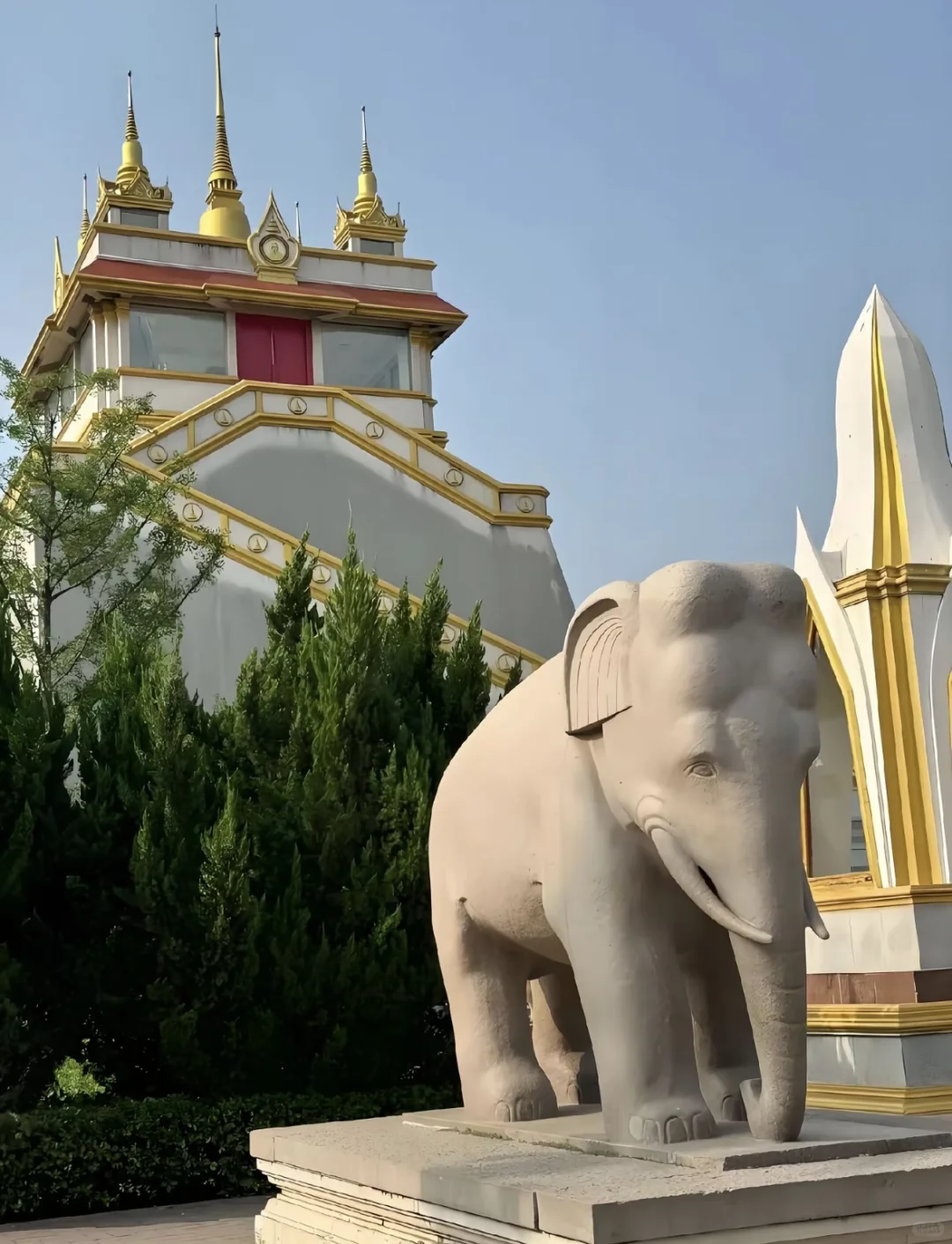 48小时玩转洛阳，我被这座千年古都彻底圈粉