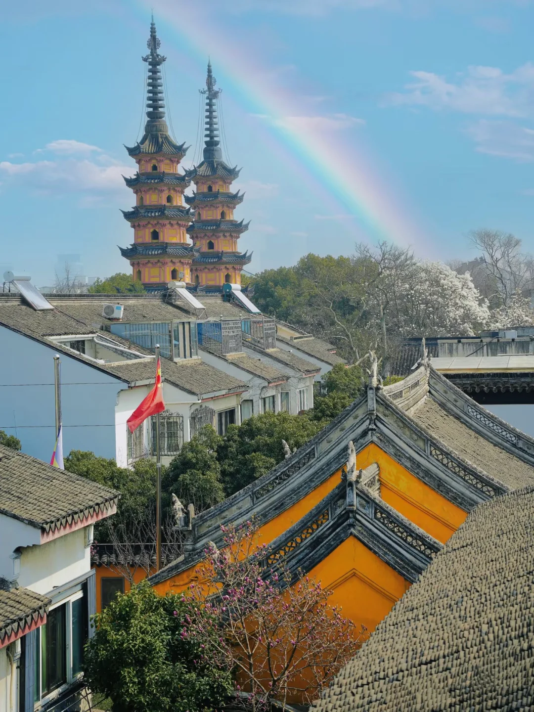 苏州春天的浪漫🌸不止公园！更是满大街小巷！