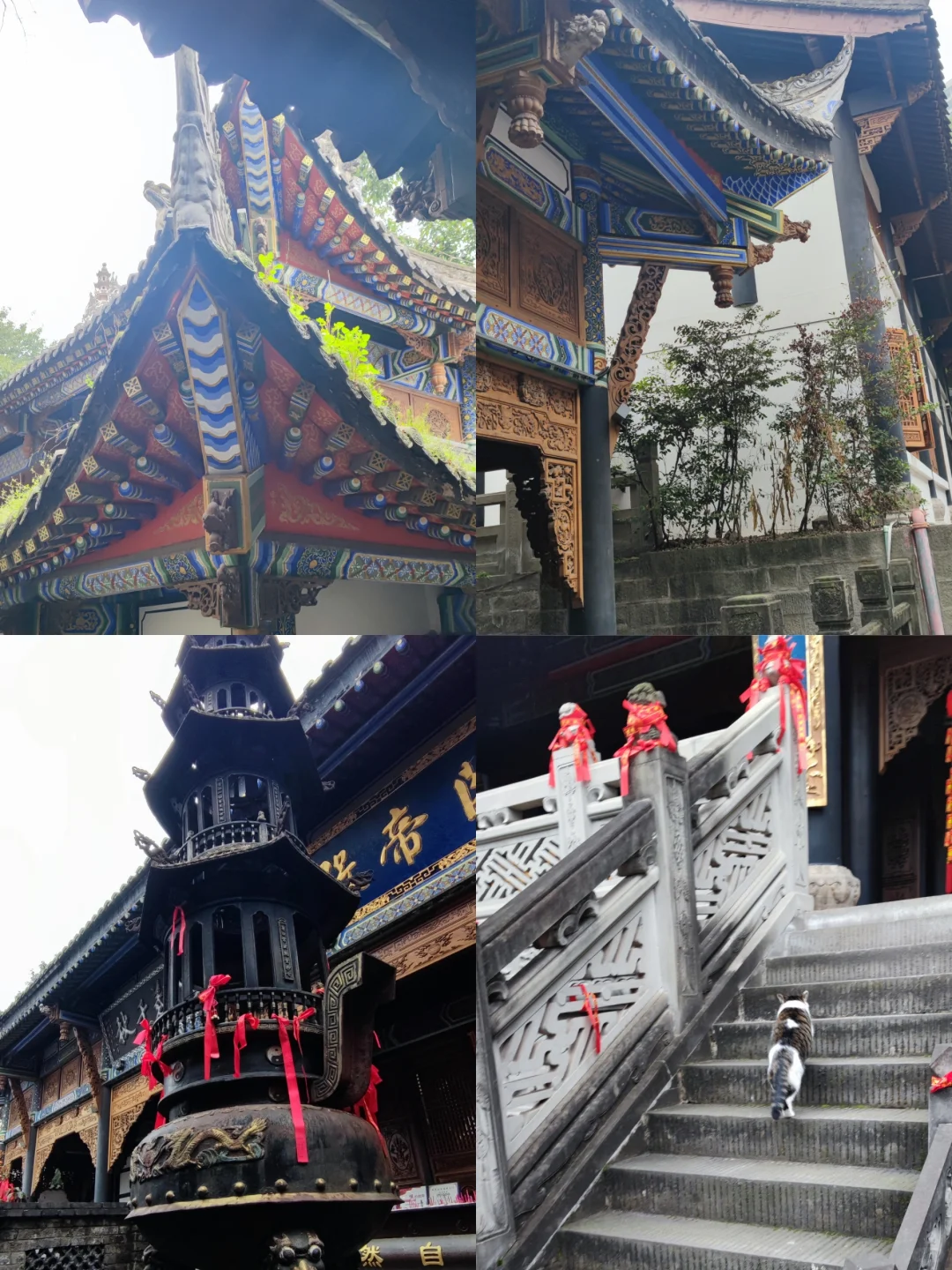 当你在重庆 一天逛了八个景点