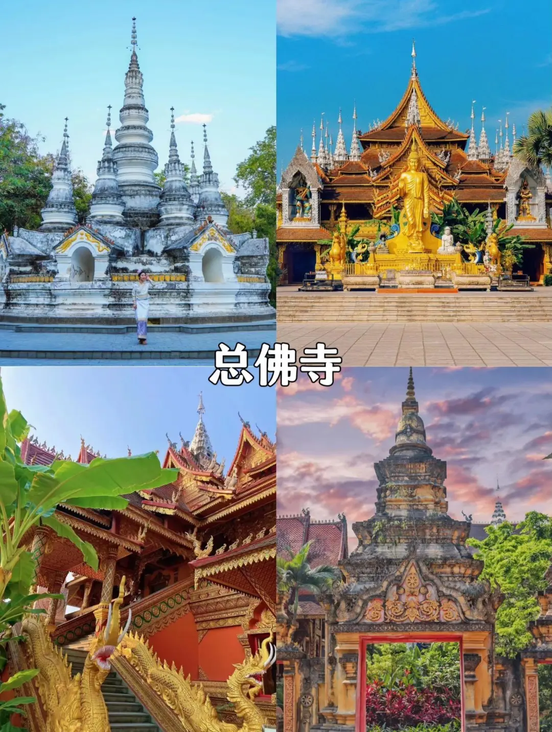 随机抽查：来西双版纳旅行你去了哪些景点❓