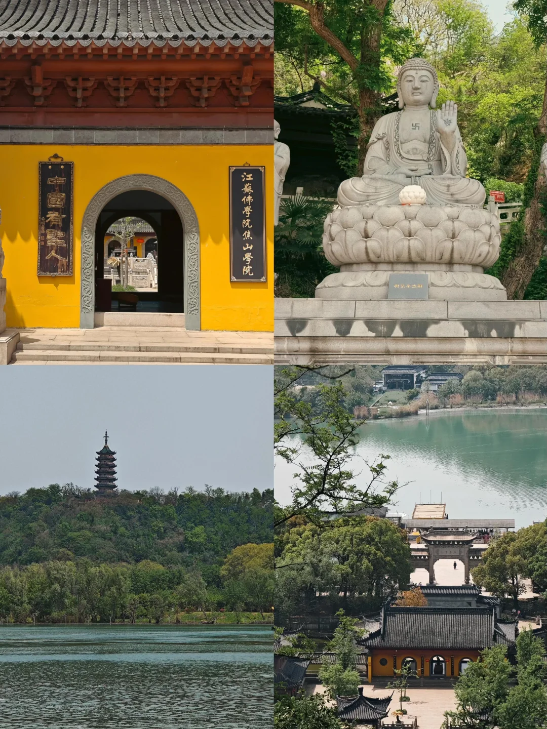 🌈镇江| 3-4月来真的很香，人少景美！