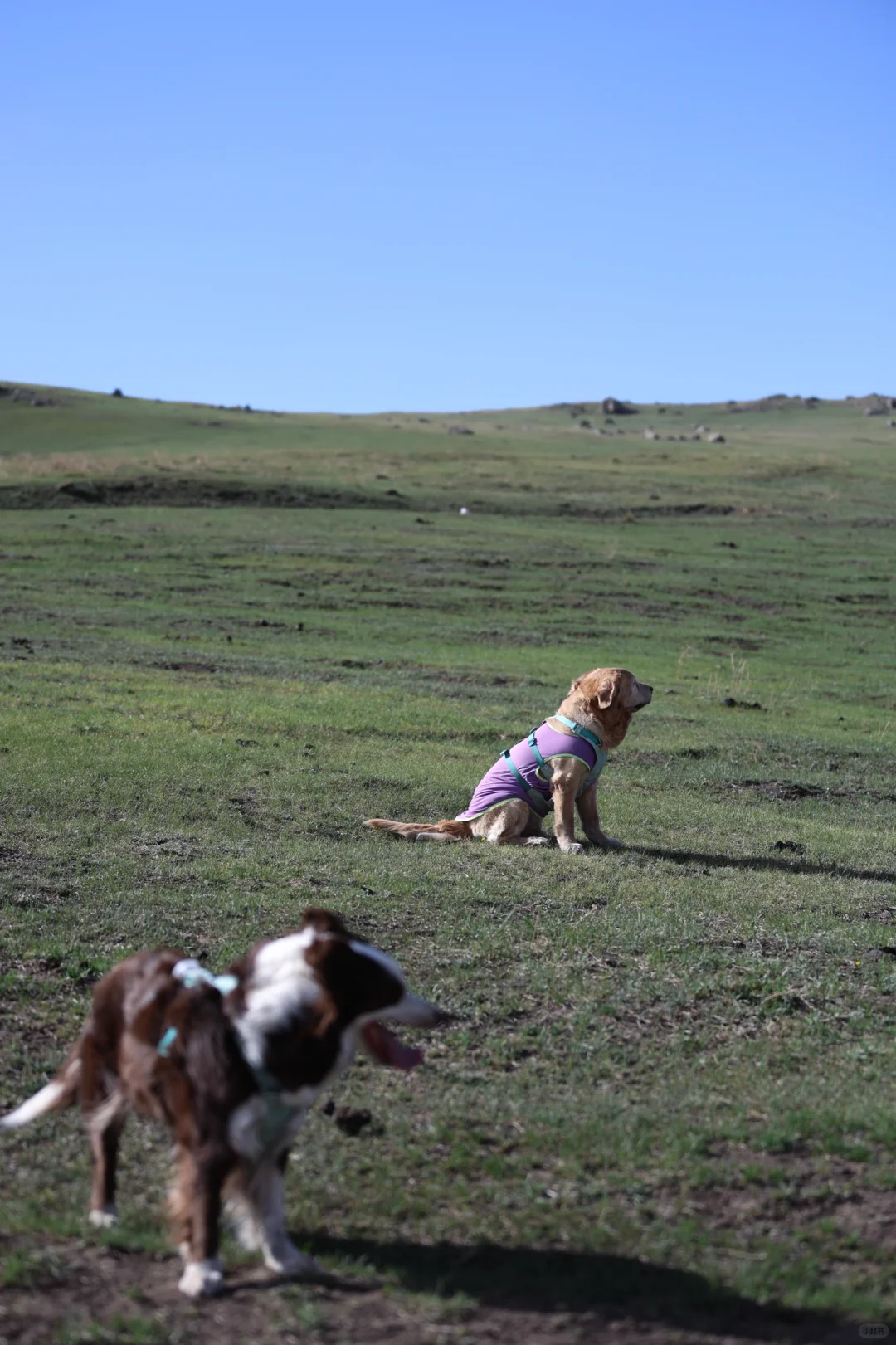 乌兰察布红石崖|整个景区只有我们的快乐