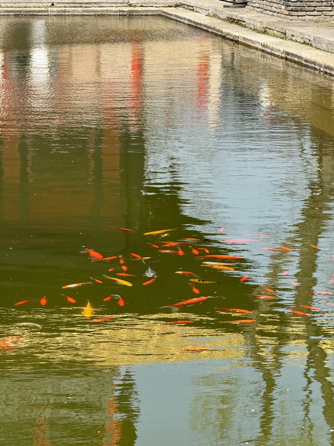 广富林遗址是松江必打卡的景点之一