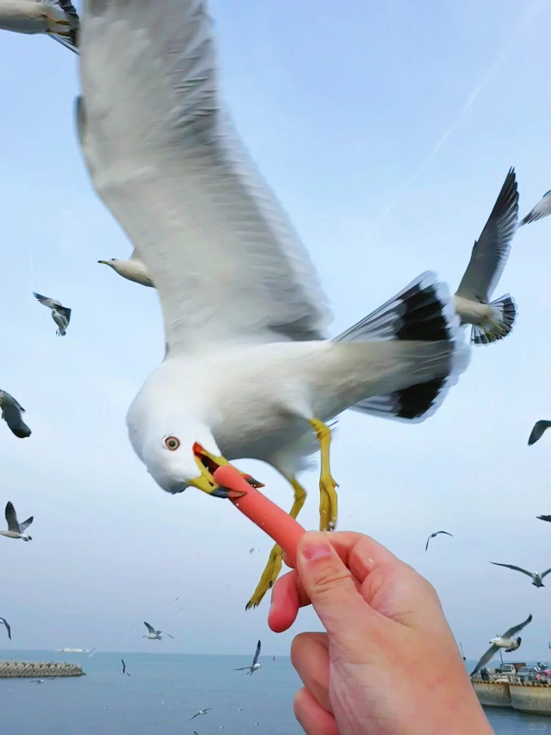 来大连一定要拍的16张人生Live图！（附地址