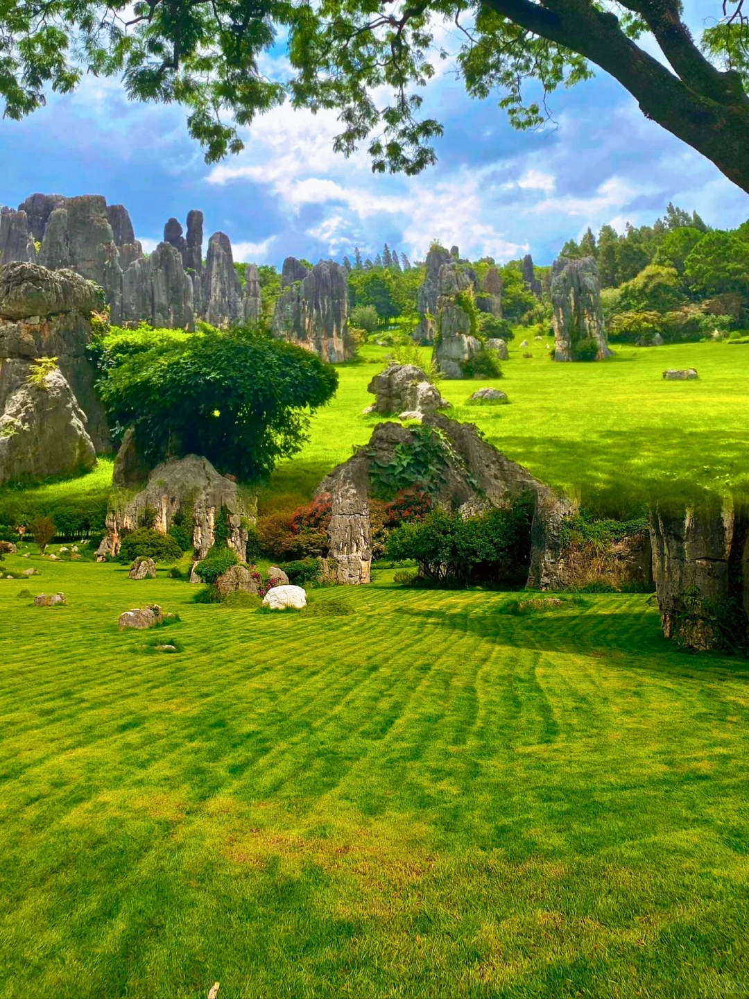 🌿昆明三天旅行攻略｜CityWalk看海鸥逛石林