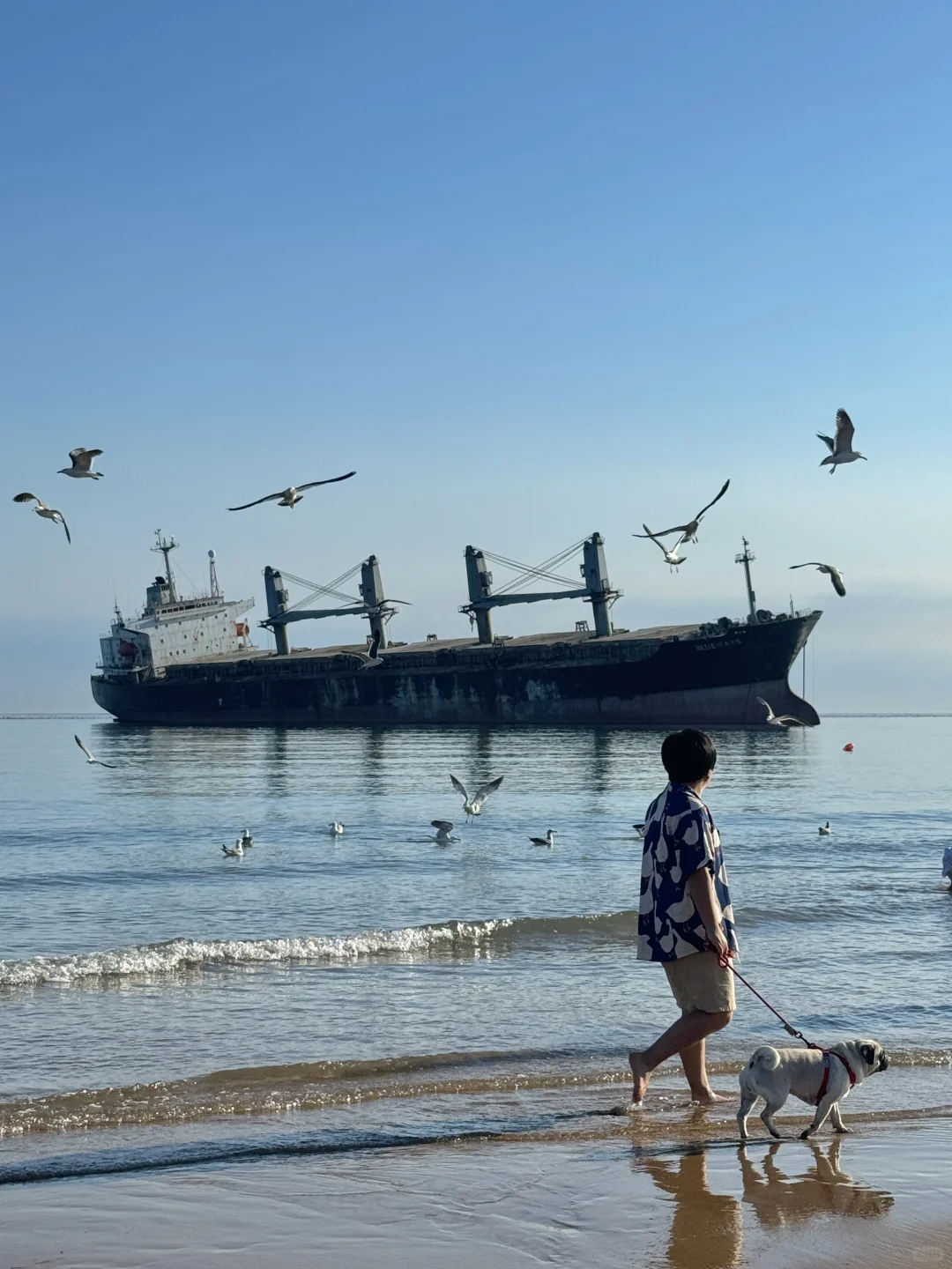 迄今为止最爱的宝藏海滨小城❗️3天2夜攻略