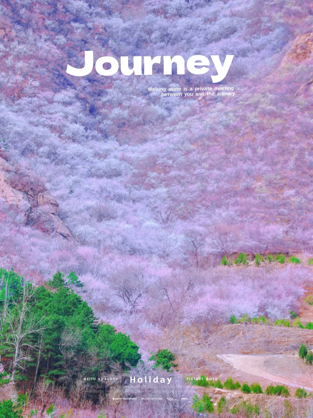 北京踏春🌸11个老幼赏花登山步道🍃不费腿