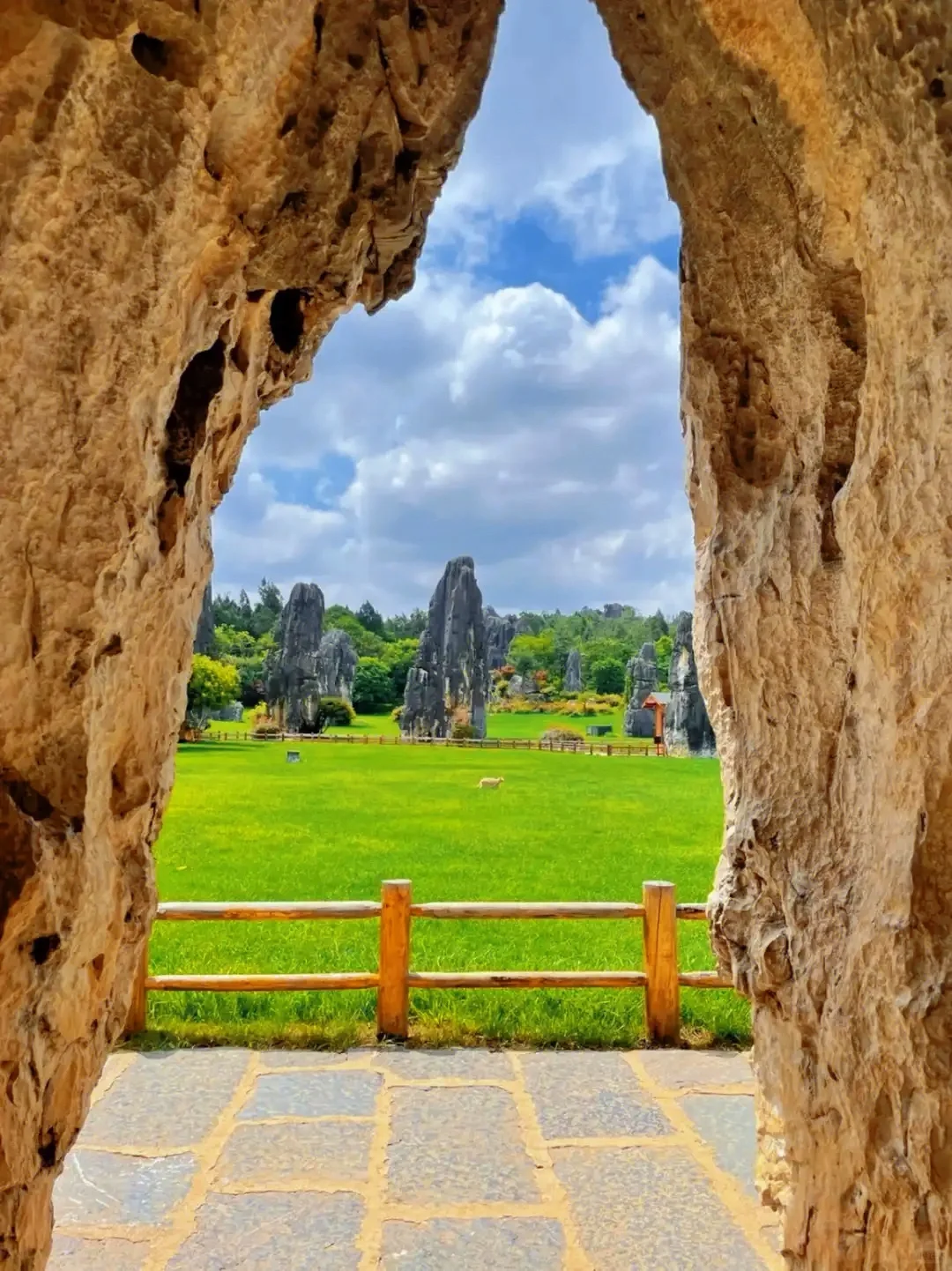 🌿昆明三天旅行攻略｜CityWalk看海鸥逛石林