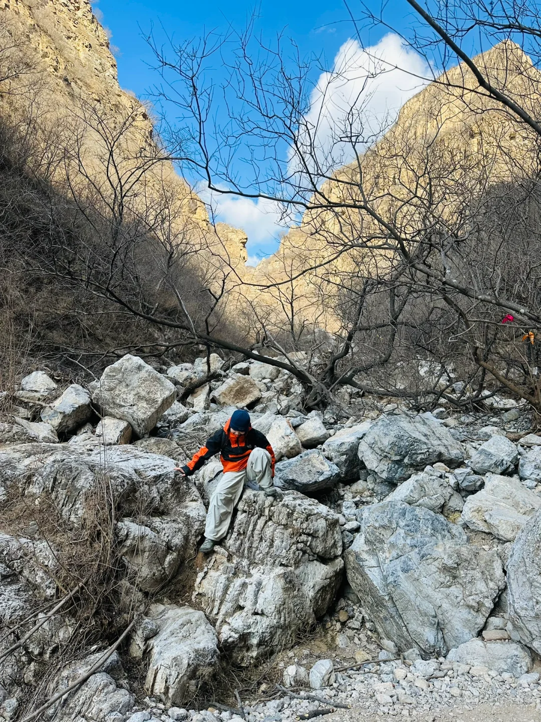 不是国外！在北京！发朋友圈被问爆了