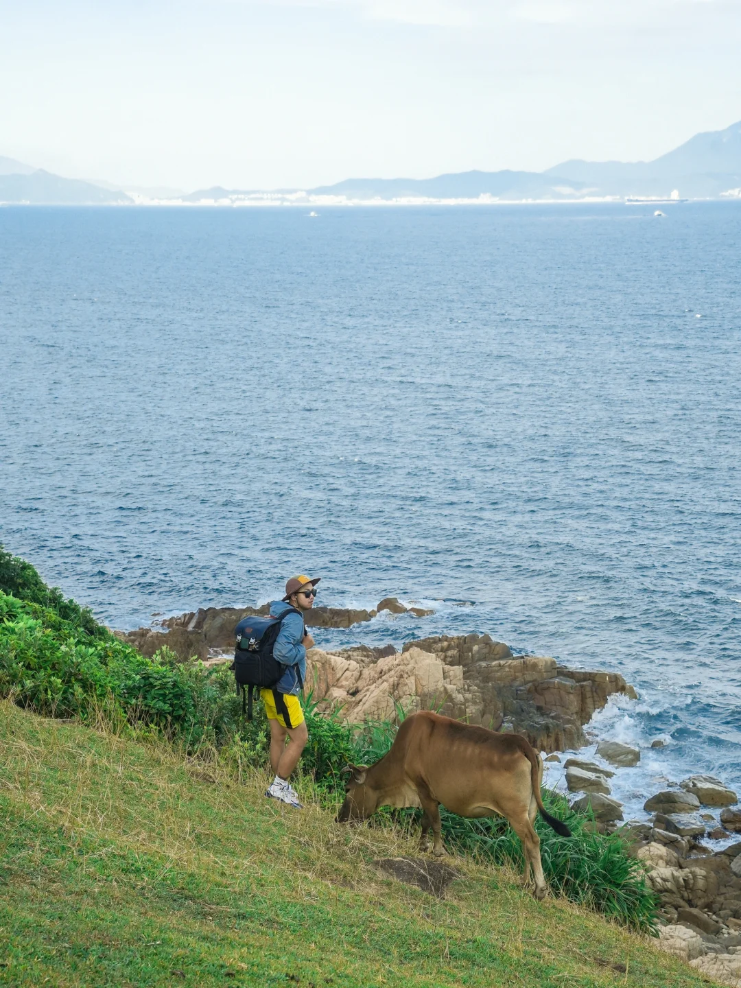 香港·这才是牛马呆的地方 20港币直达的快乐