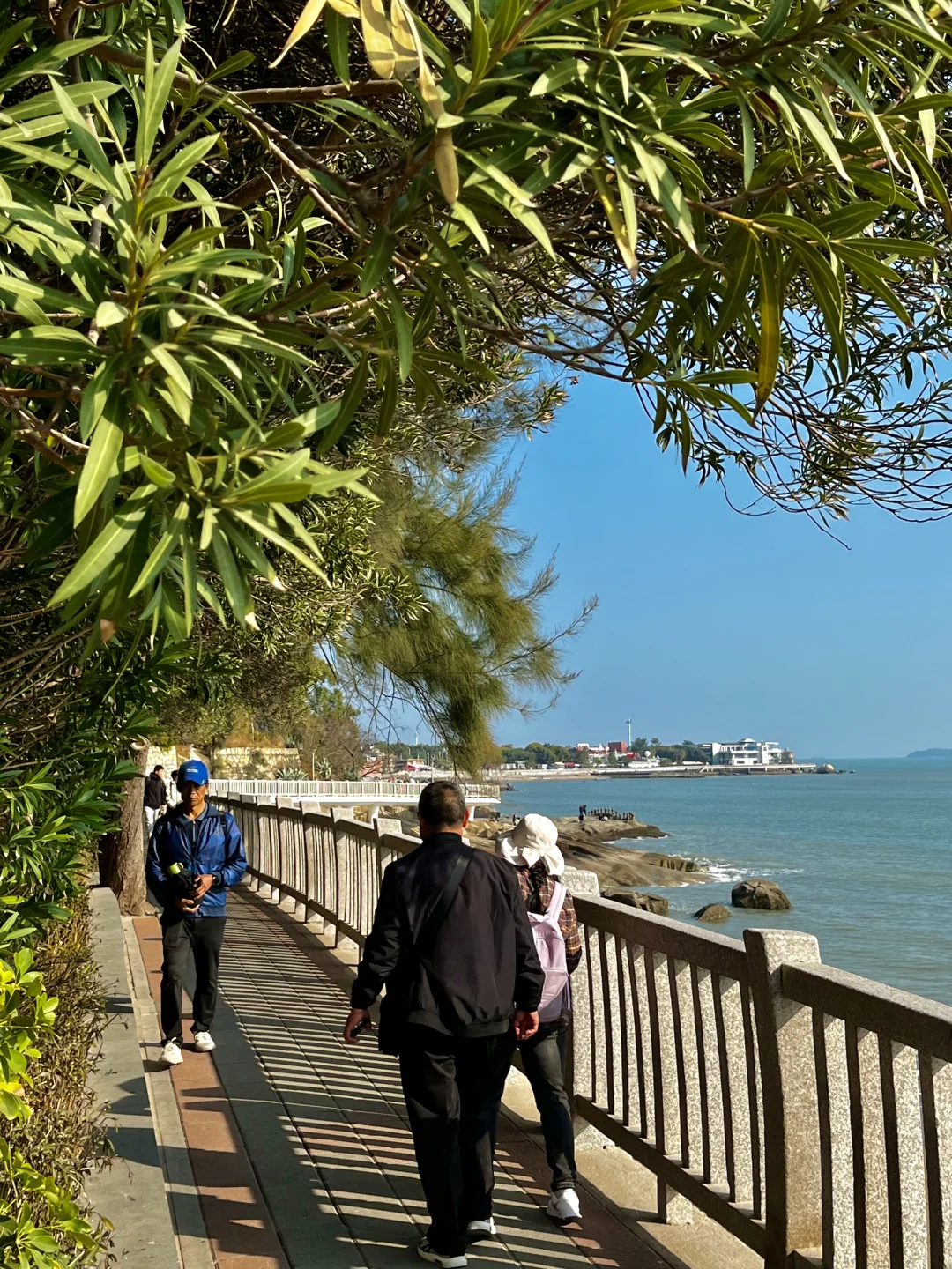 来厦门记得去！！海边citywalk美疯了（路线）