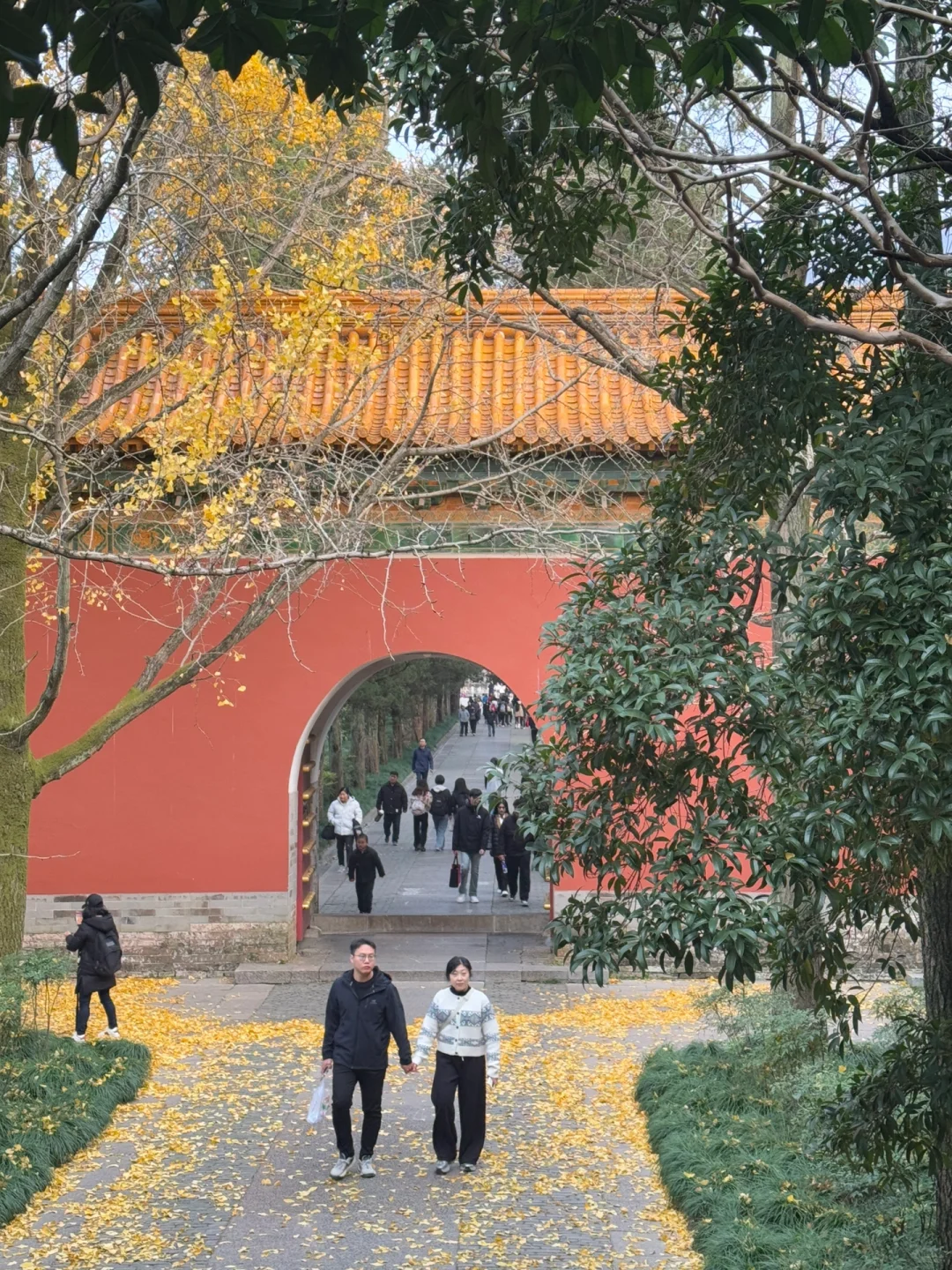 📍南京|一个人72小时特种兵攻略‼️