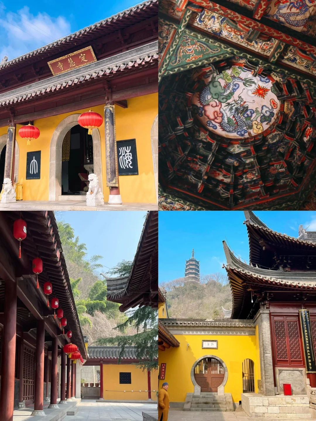 🌈镇江| 3-4月来真的很香，人少景美！