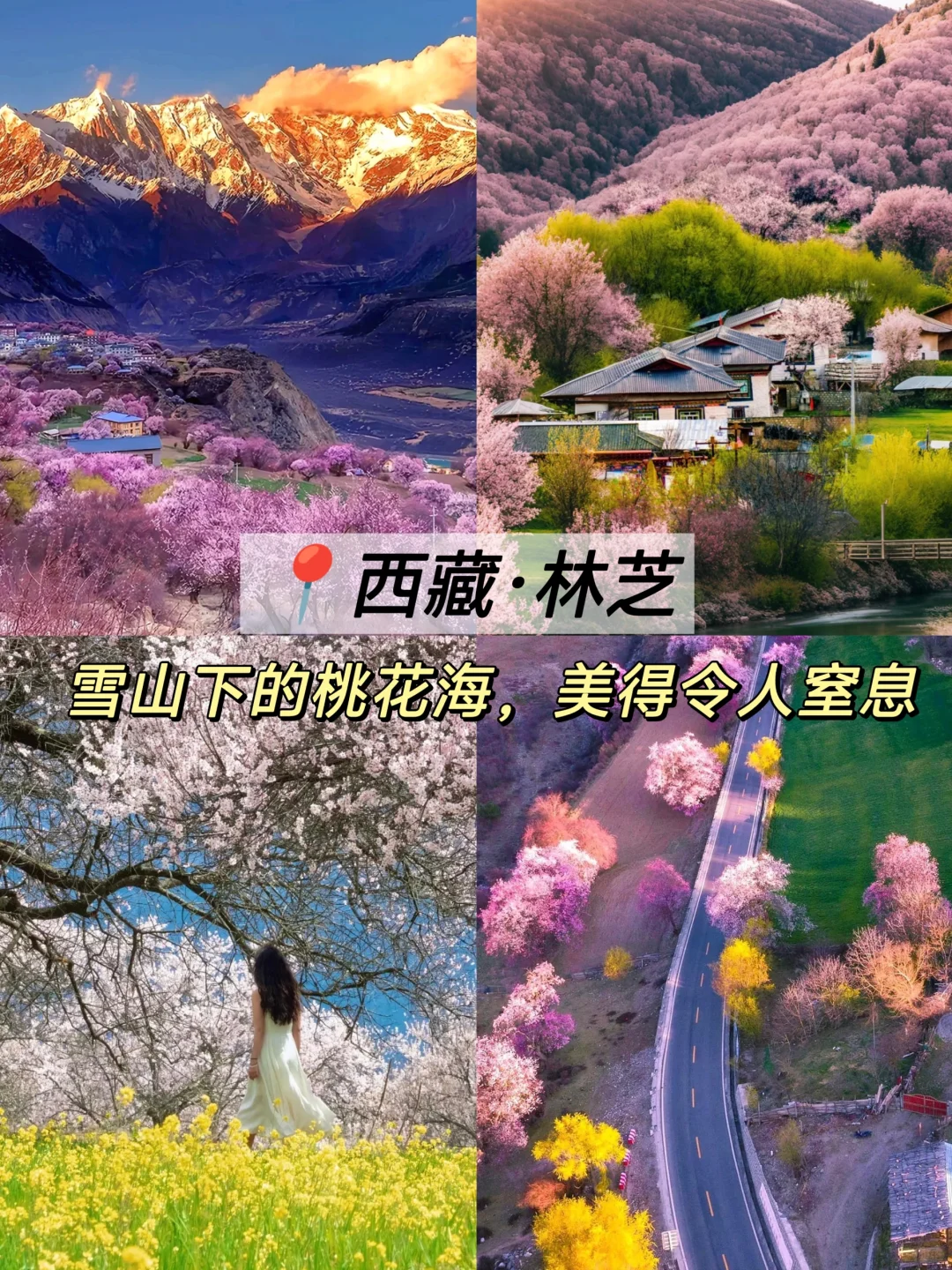 3-5月最值得去的十个地方🙋‍♀️码住！