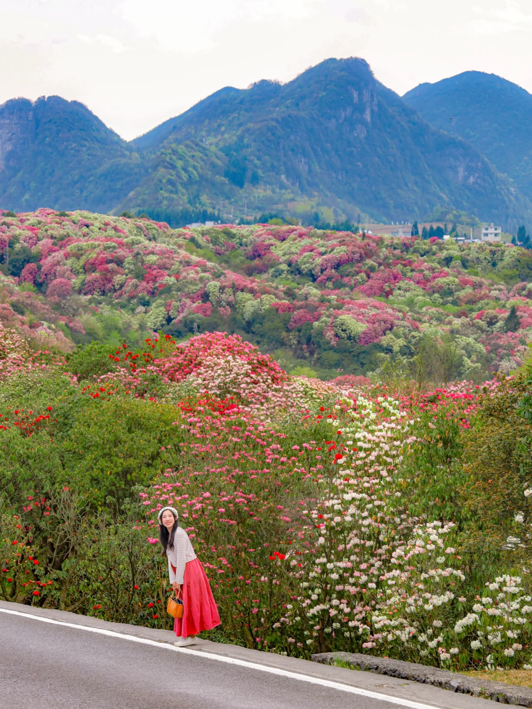 高铁直达！被春天漫山杜鹃花海🌸美哭了😭😭