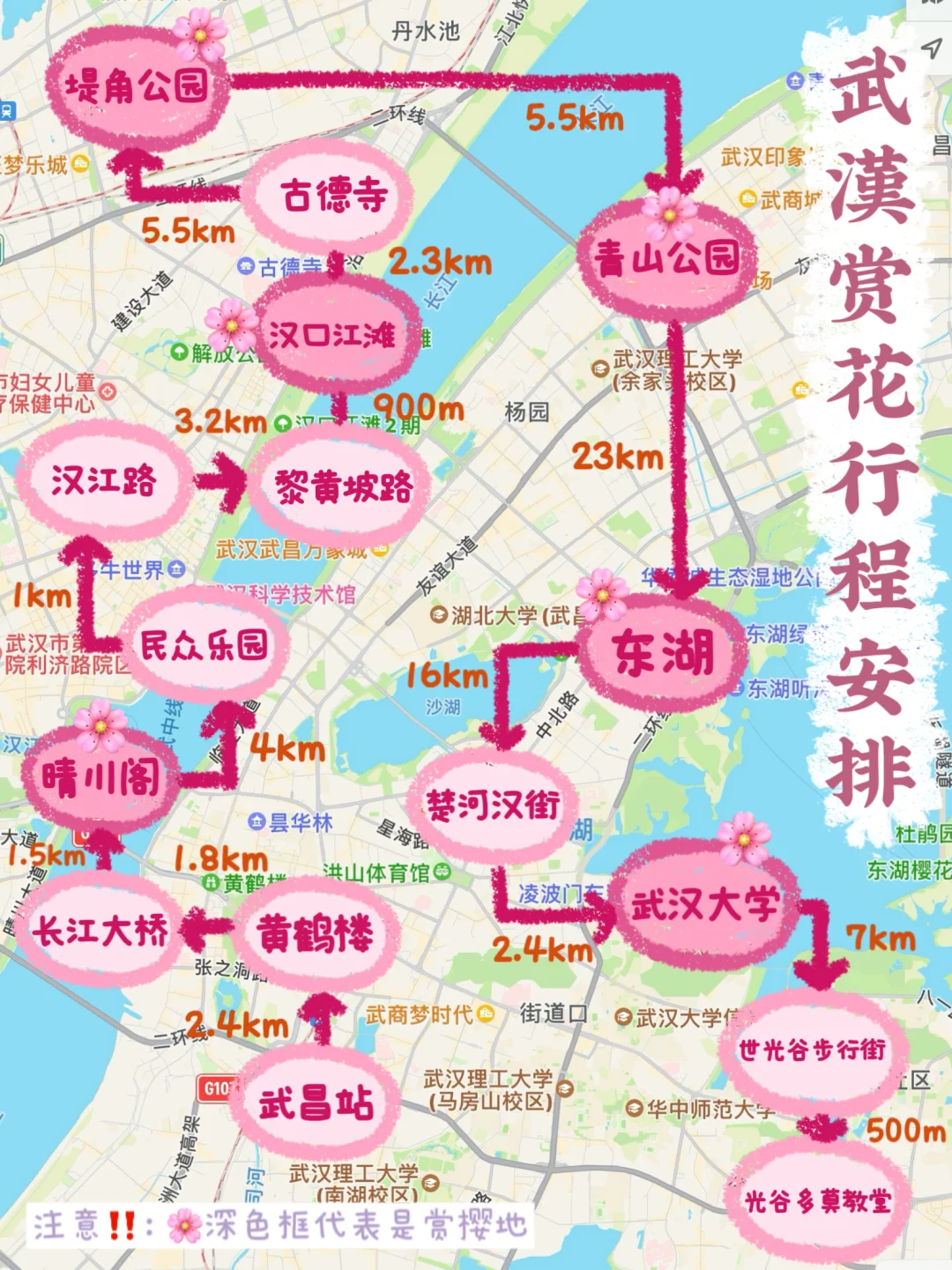 3月不做攻略千万别来武汉看樱花‼️（吃住行🌸