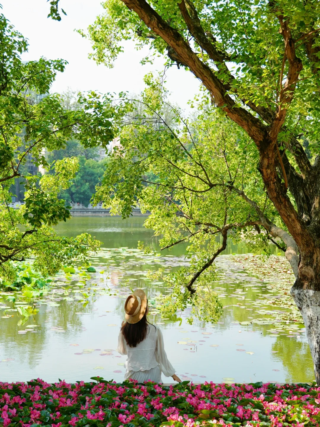 人生建议：春天一定要去趟昆明！附赏花攻略💐