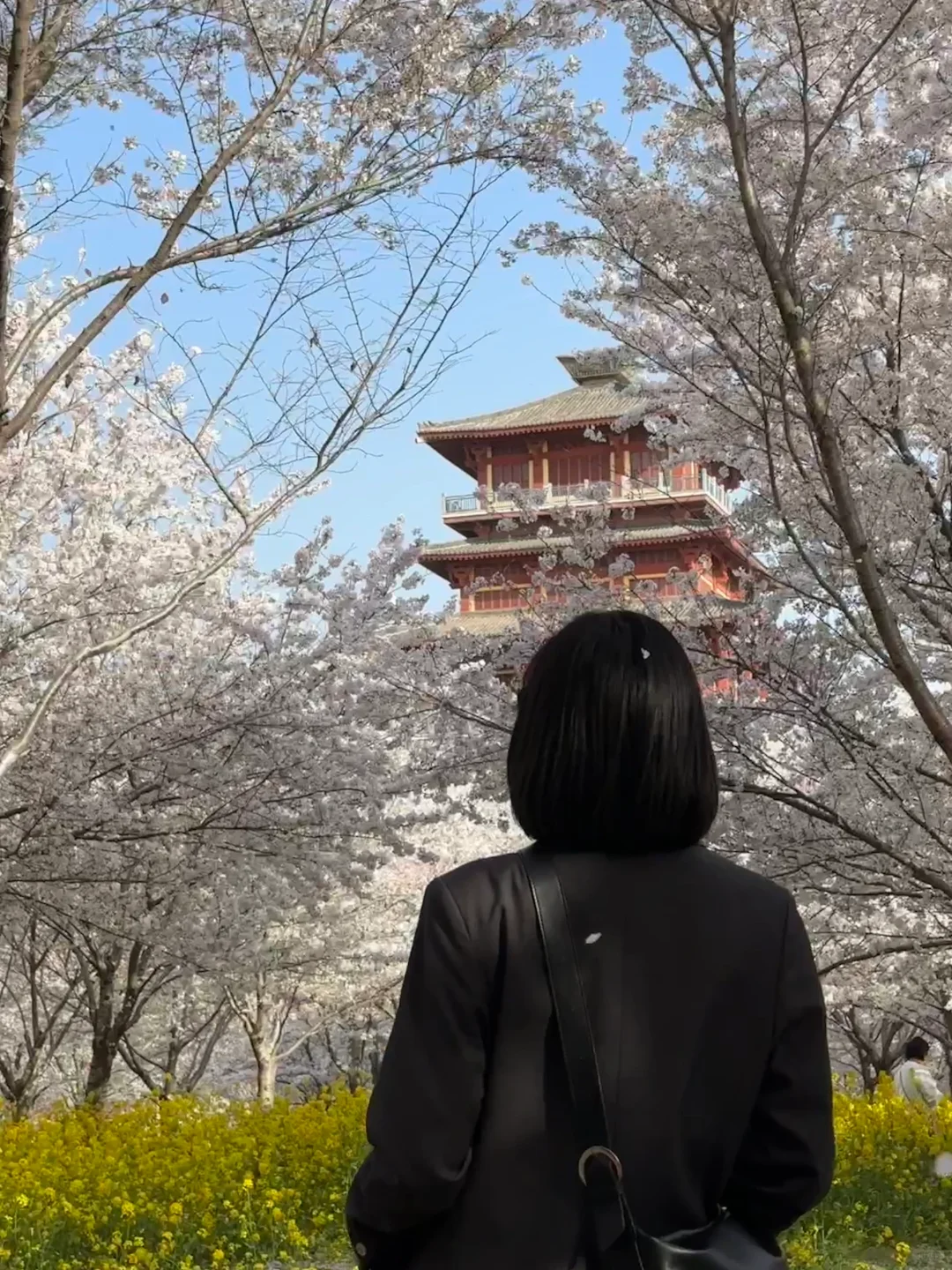 码住！郑州三月必去花海🌸top3