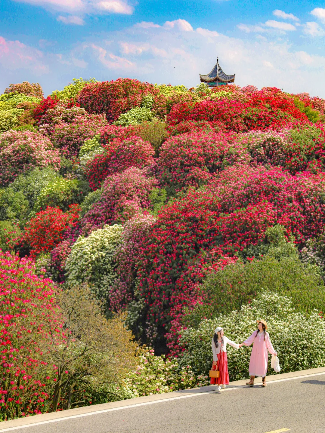高铁直达！被春天漫山杜鹃花海🌸美哭了😭😭