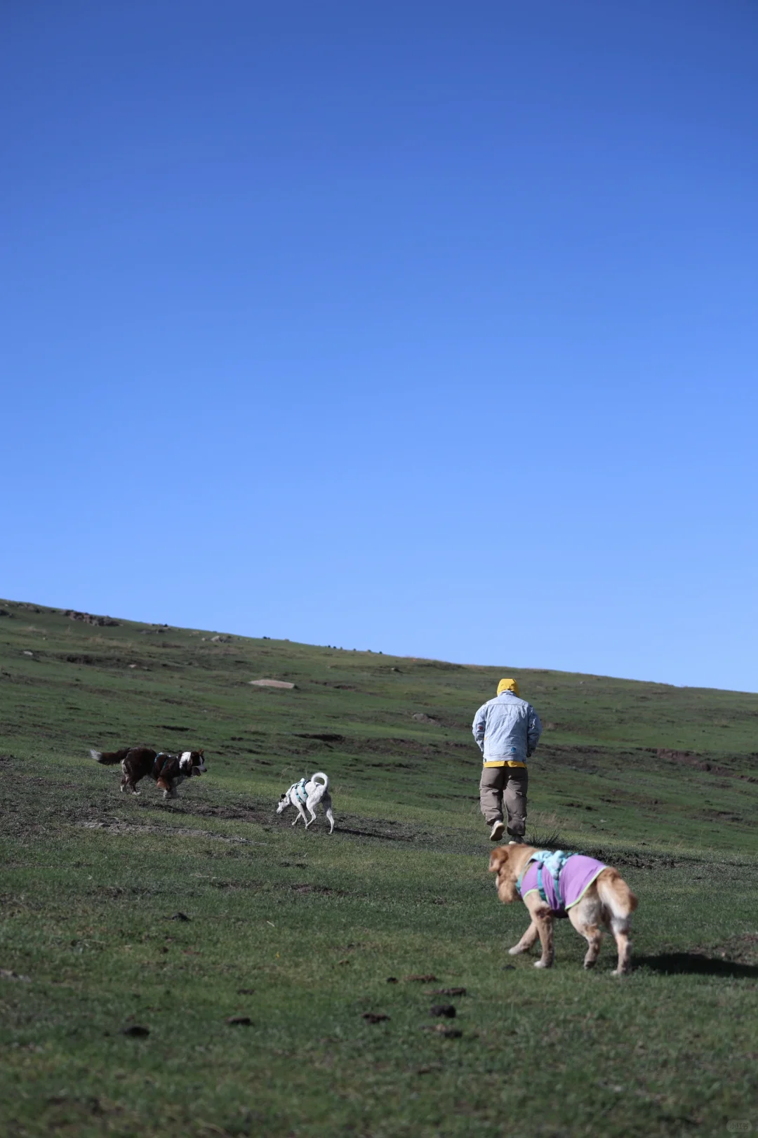 乌兰察布红石崖|整个景区只有我们的快乐