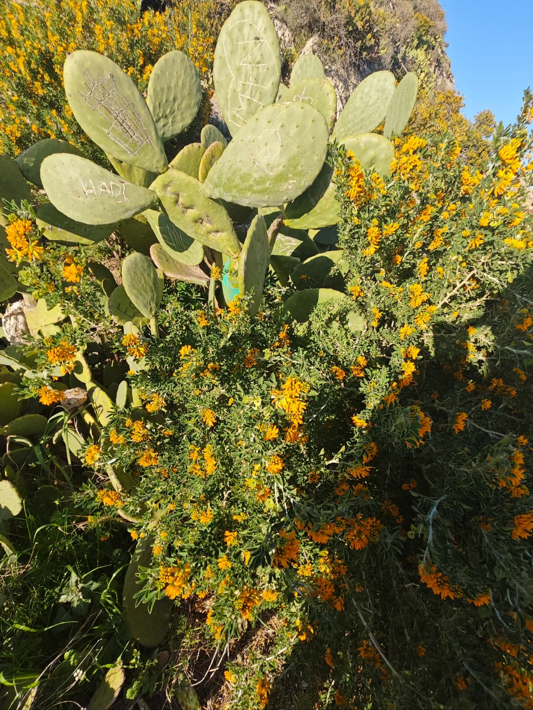 希腊市中心景点 狼山