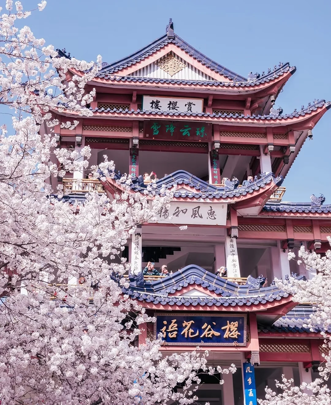 🔥无锡必打卡十大景点！本地人私藏攻略，