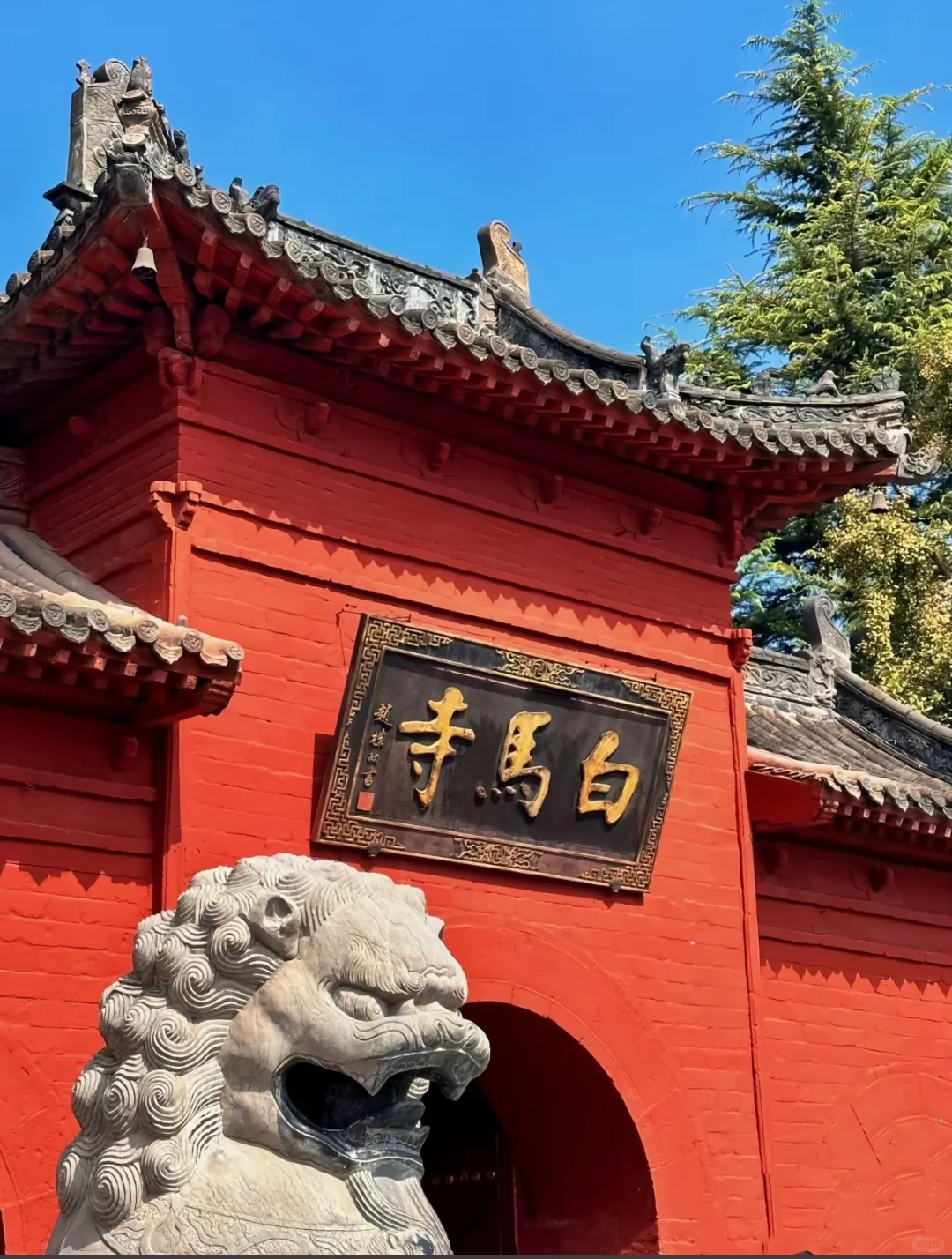 48小时玩转洛阳，我被这座千年古都彻底圈粉