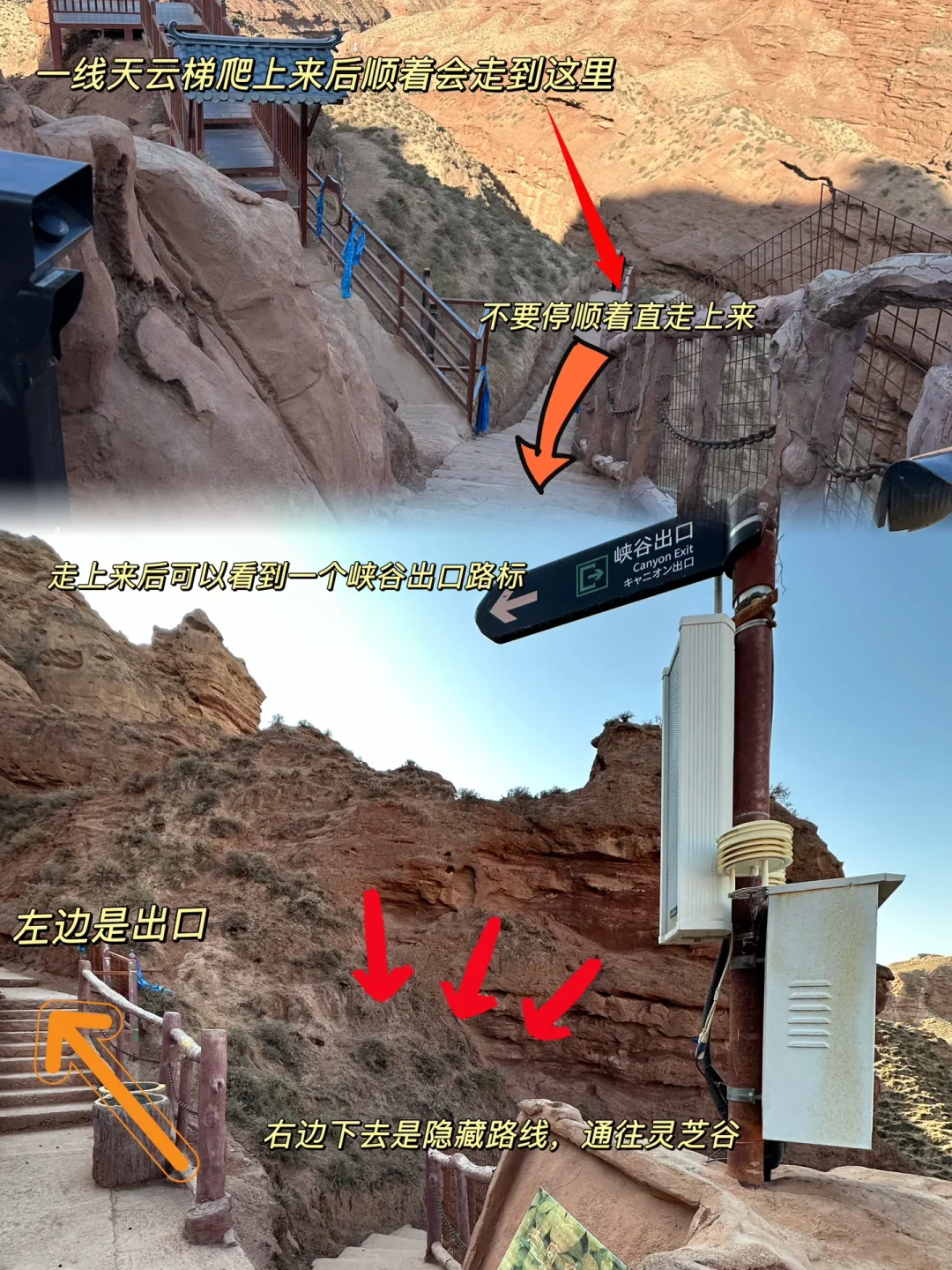 想和全世界安利的宝藏城市——张掖！