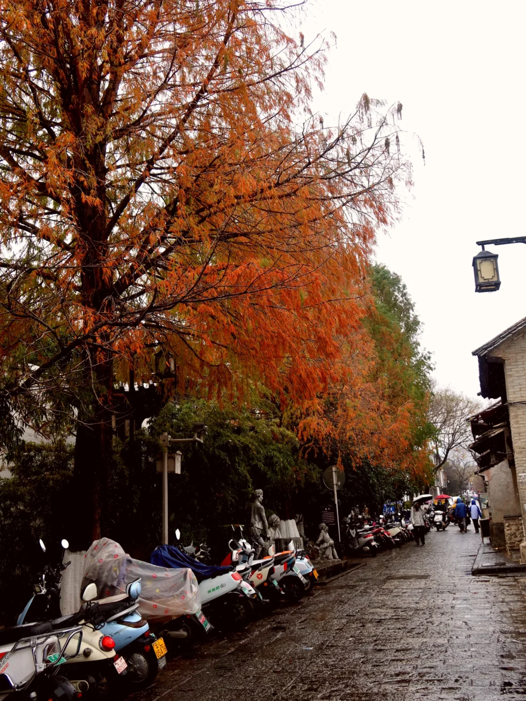 旅游是工作日的动力🥹