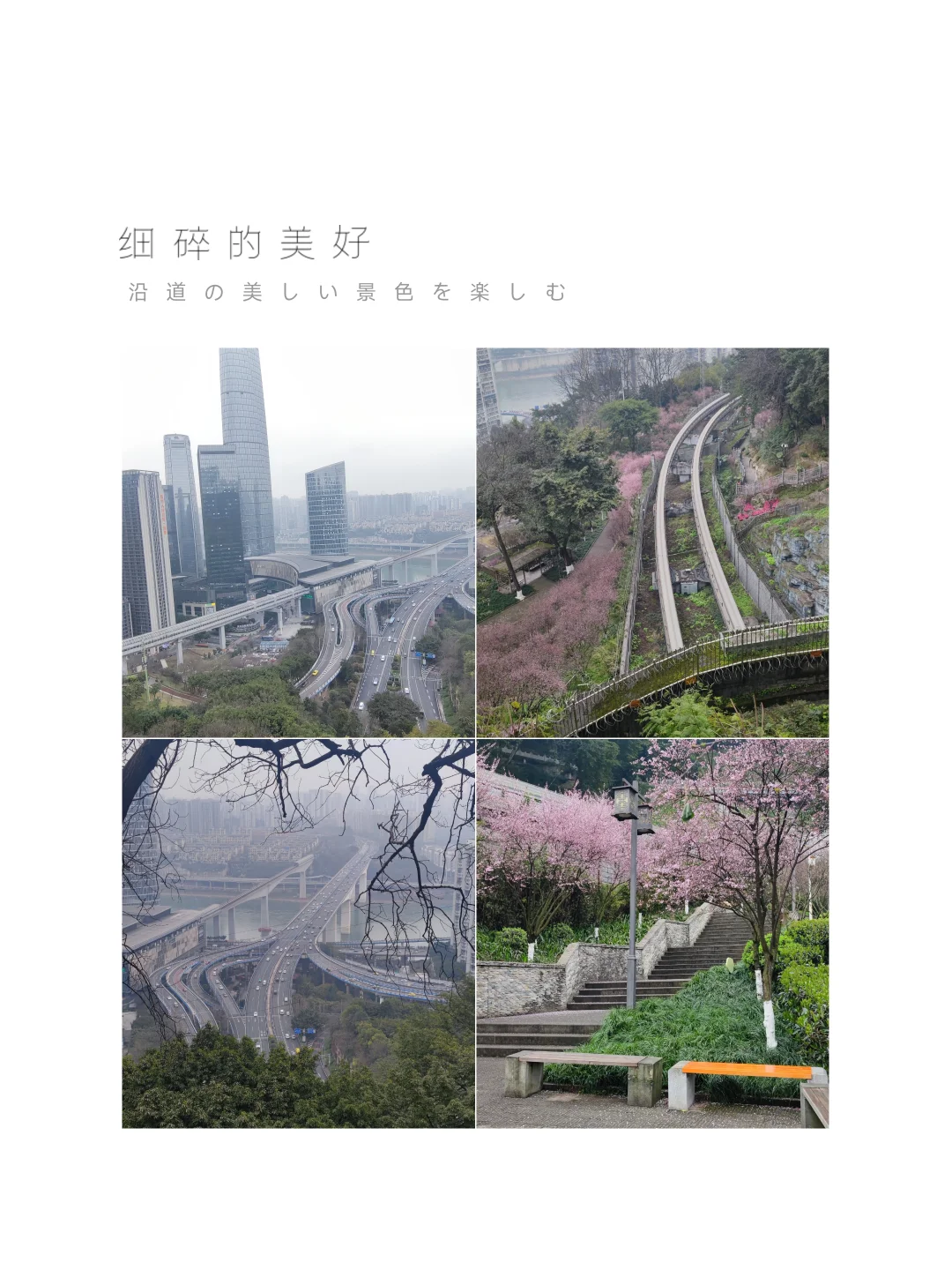 当你在重庆 一天逛了八个景点