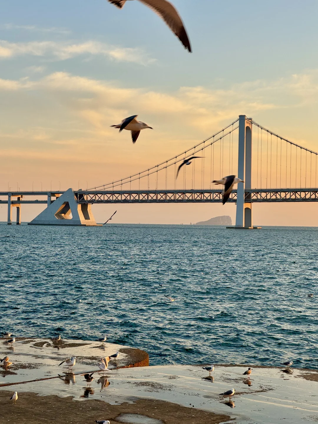 淡季的大连，live图就已经赢麻了，简直就是.