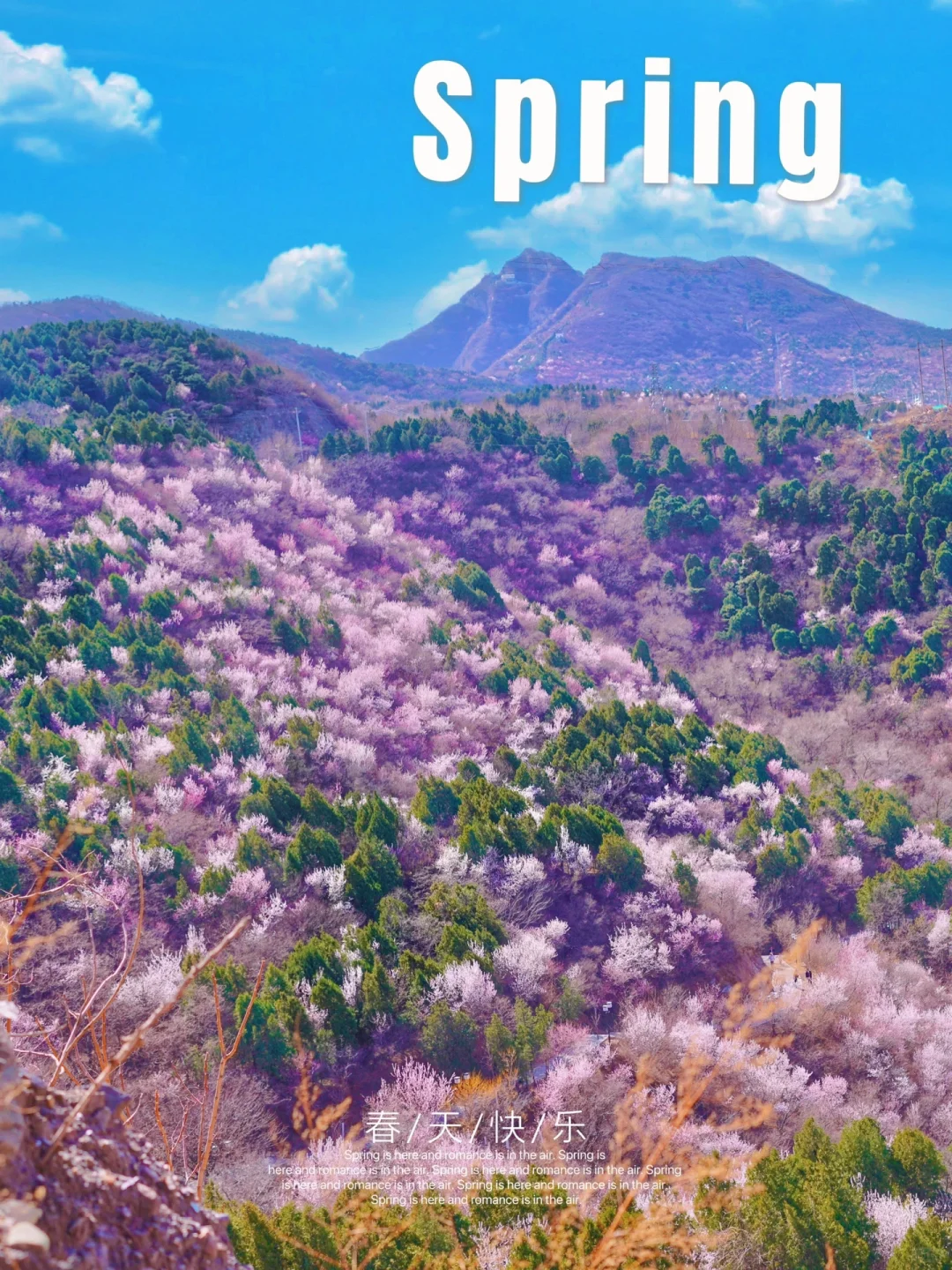 北京踏春🌸11个老幼赏花登山步道🍃不费腿