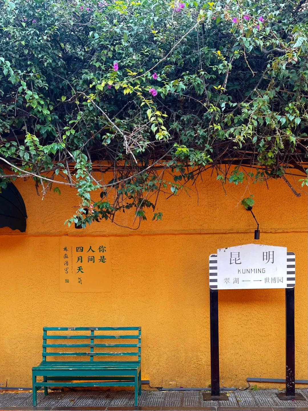 🌿昆明三天旅行攻略｜CityWalk看海鸥逛石林