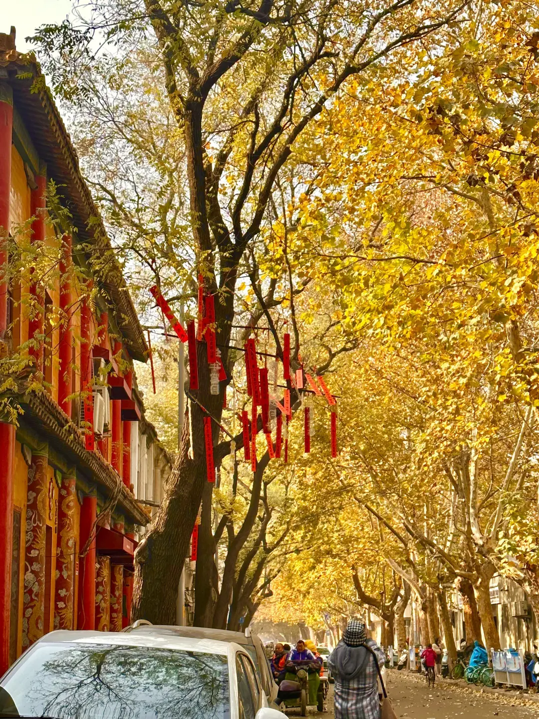 听劝👂🏻3-4月来济南的姐妹请🐎住(巨全)