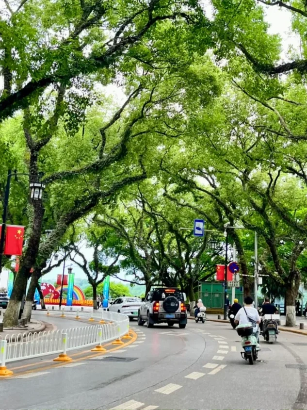 第一次来桂林旅游的姐妹，码住这篇攻略！