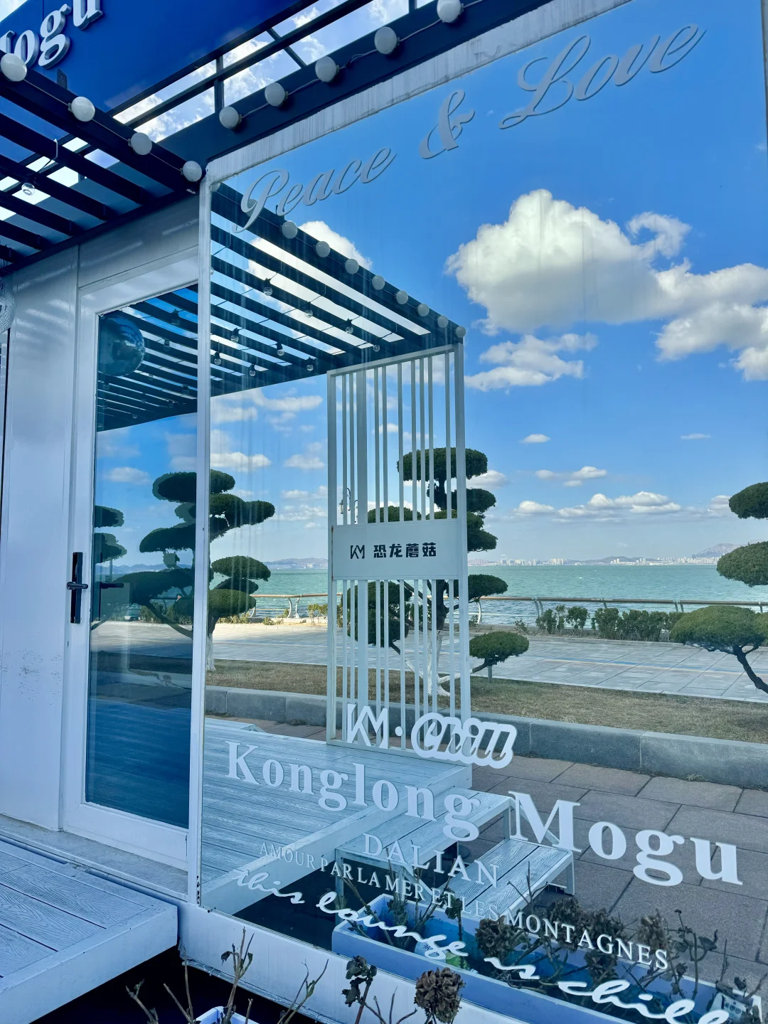 淡季的大连，live图就已经赢麻了，简直就是.