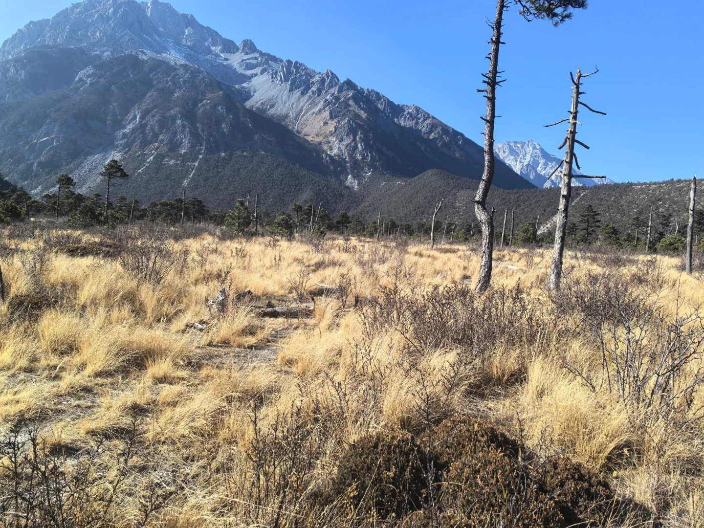 旅游是工作日的动力🥹