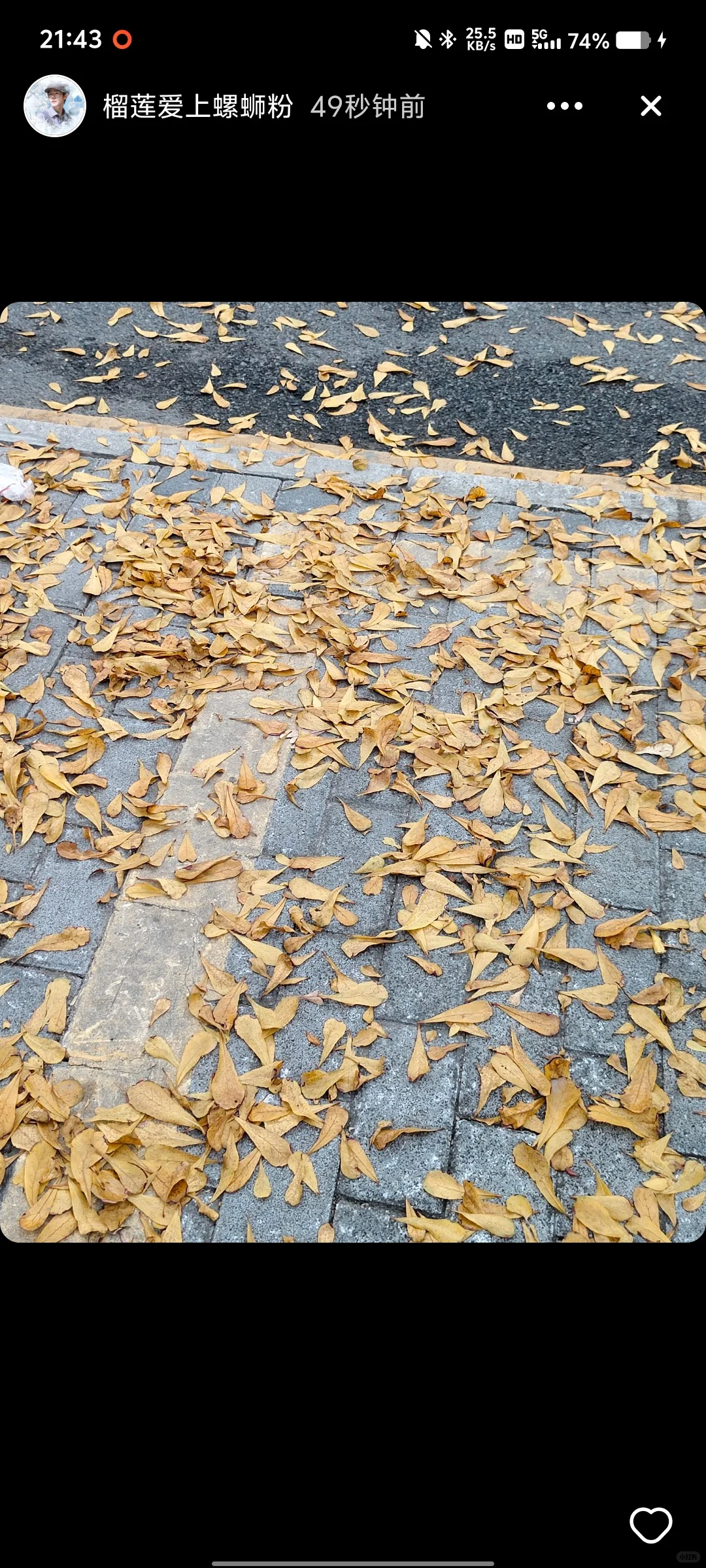 我们安卓妹也用上icity啦！