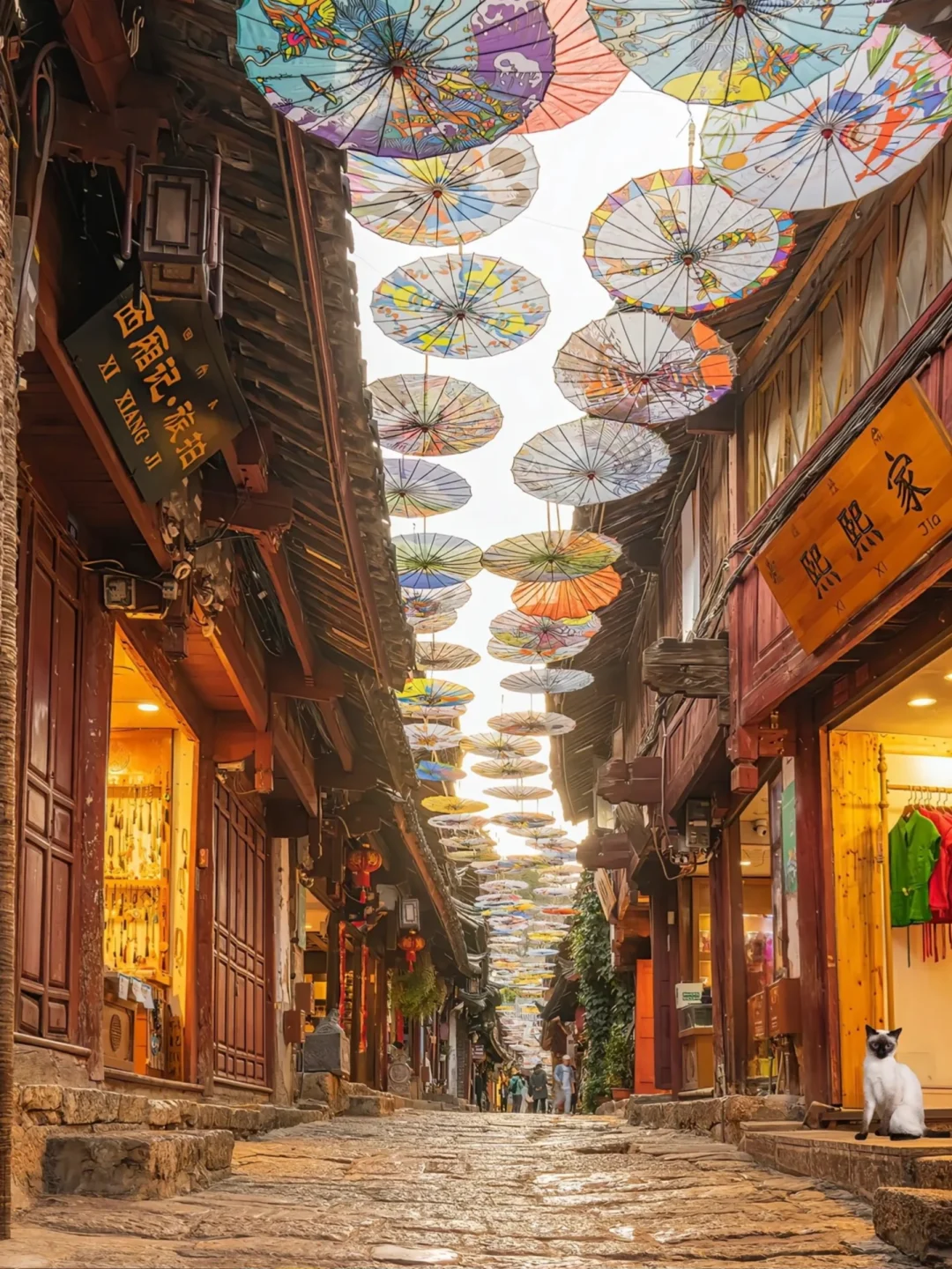 第一次带爸妈去大理，去看苍山洱海