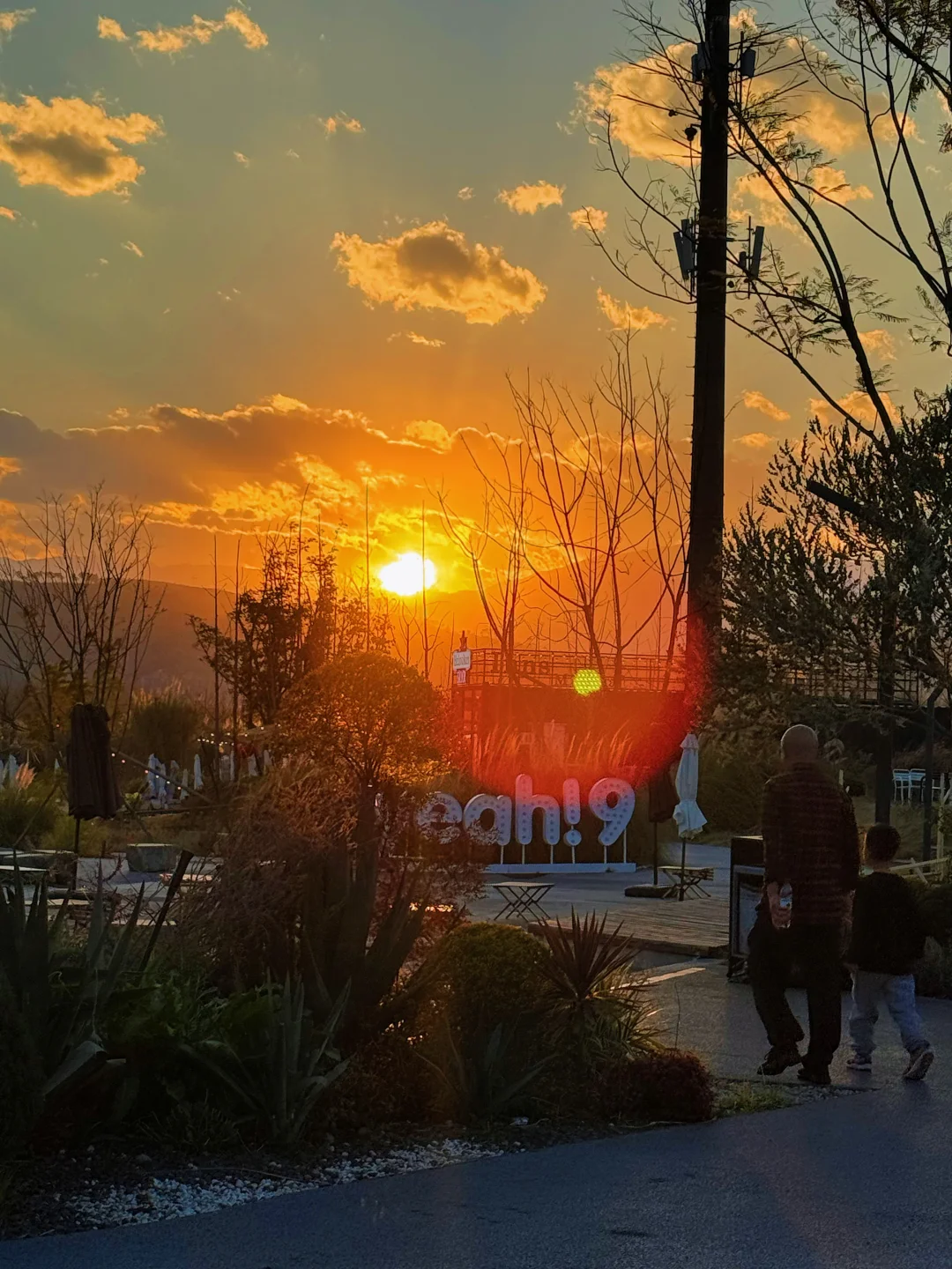 西昌已回！对自己的攻略满意得睡不着觉……