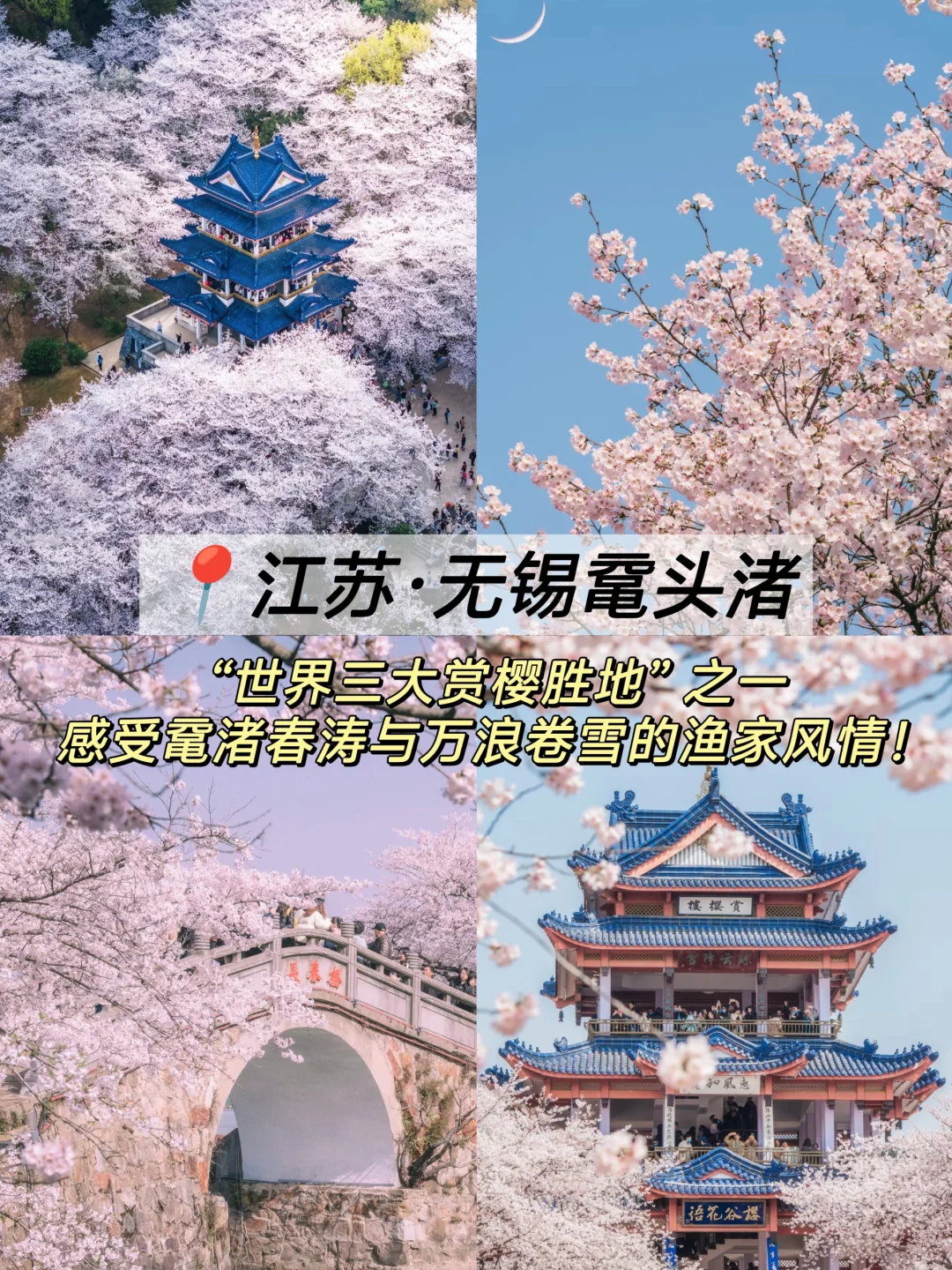 3-5月最值得去的十个地方🙋‍♀️码住！